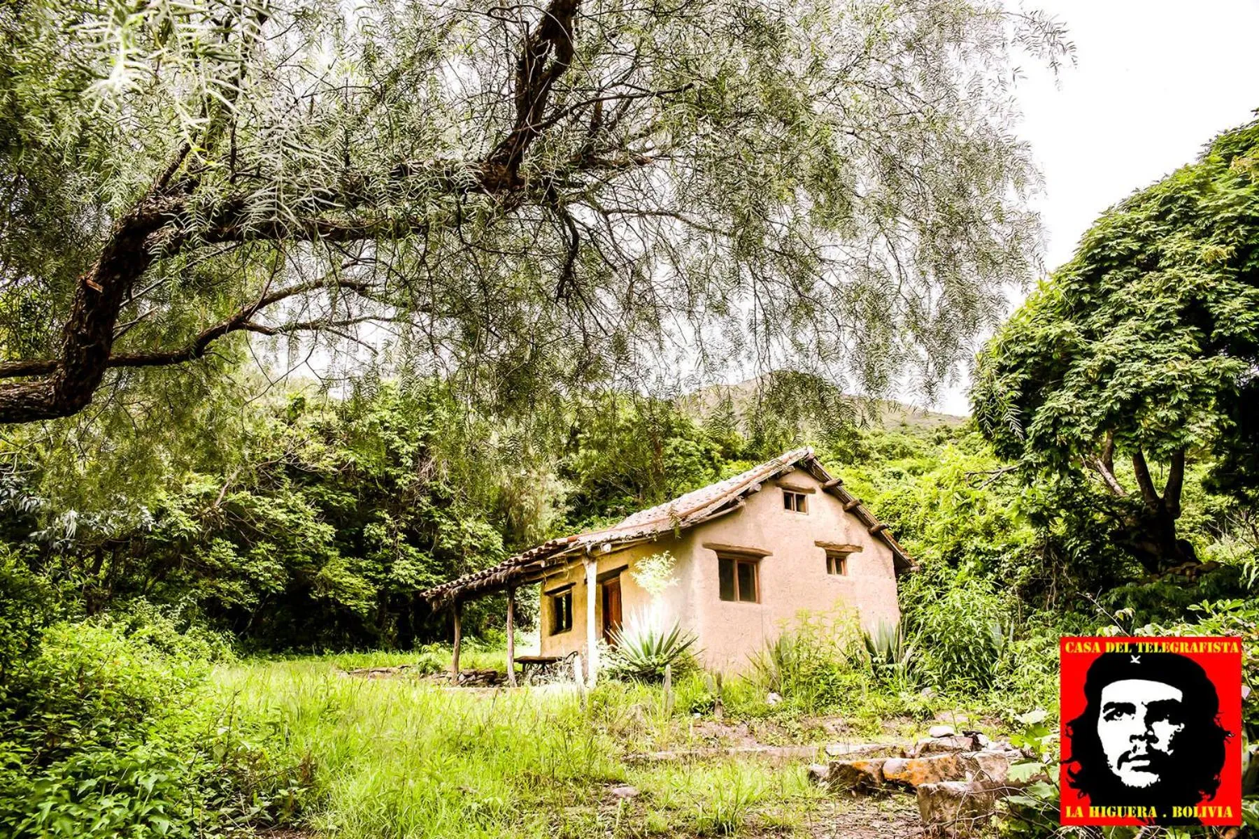 Garden in Casa del Telegrafista
