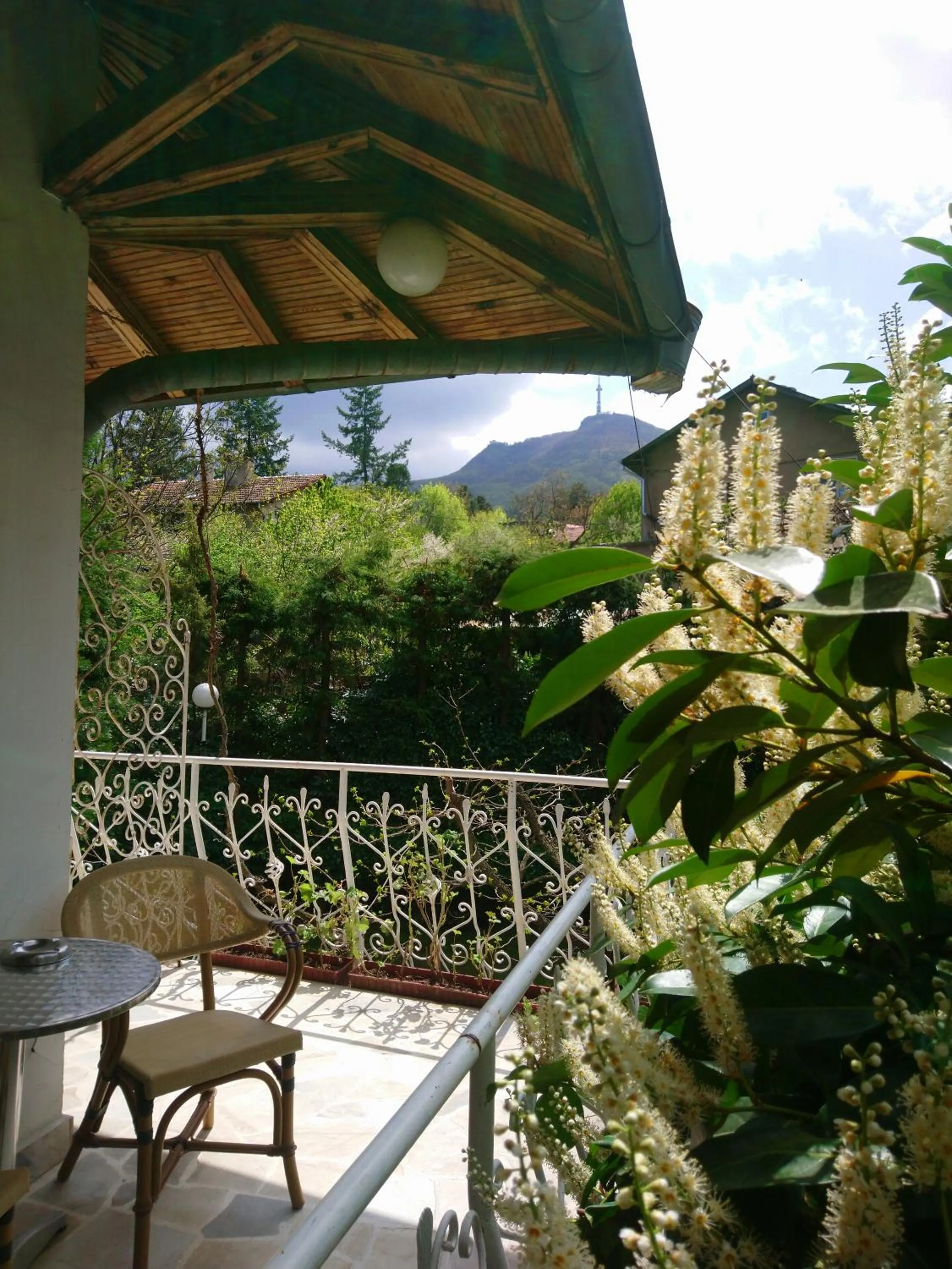 Park Hotel Amfora -Free Parking