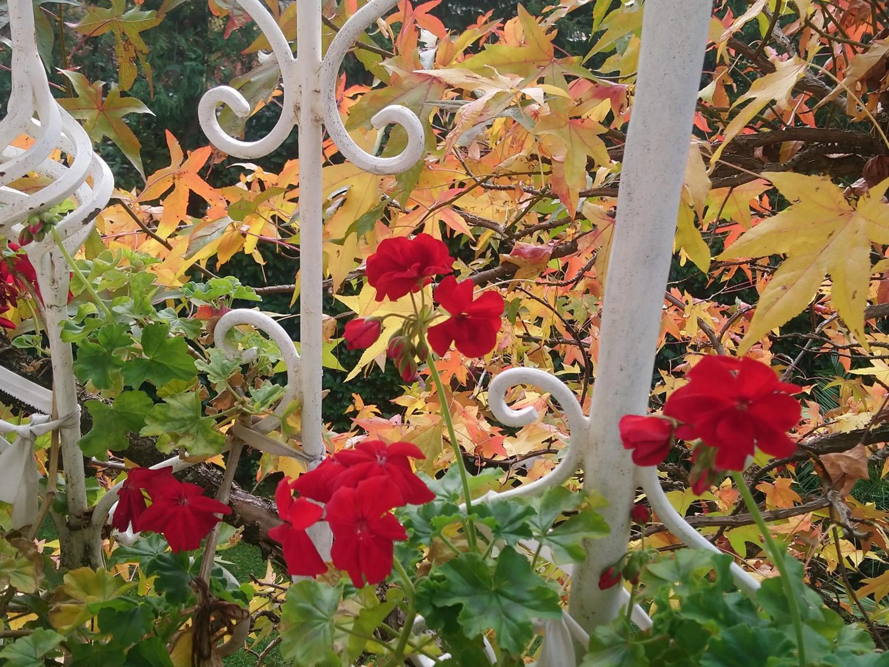 Park Hotel Amfora -Free Parking