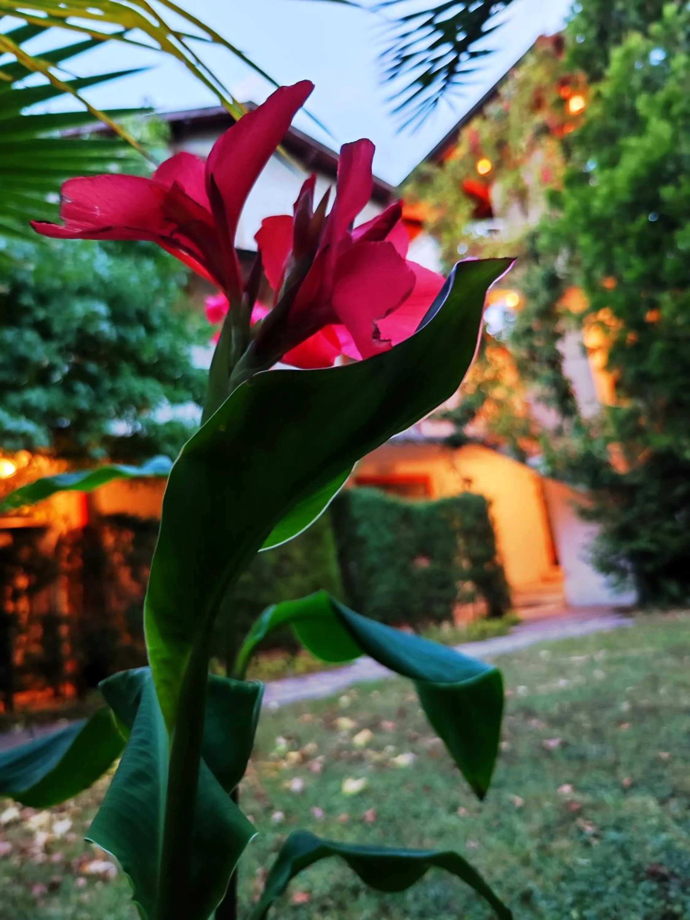 Park Hotel Amfora -Free Parking