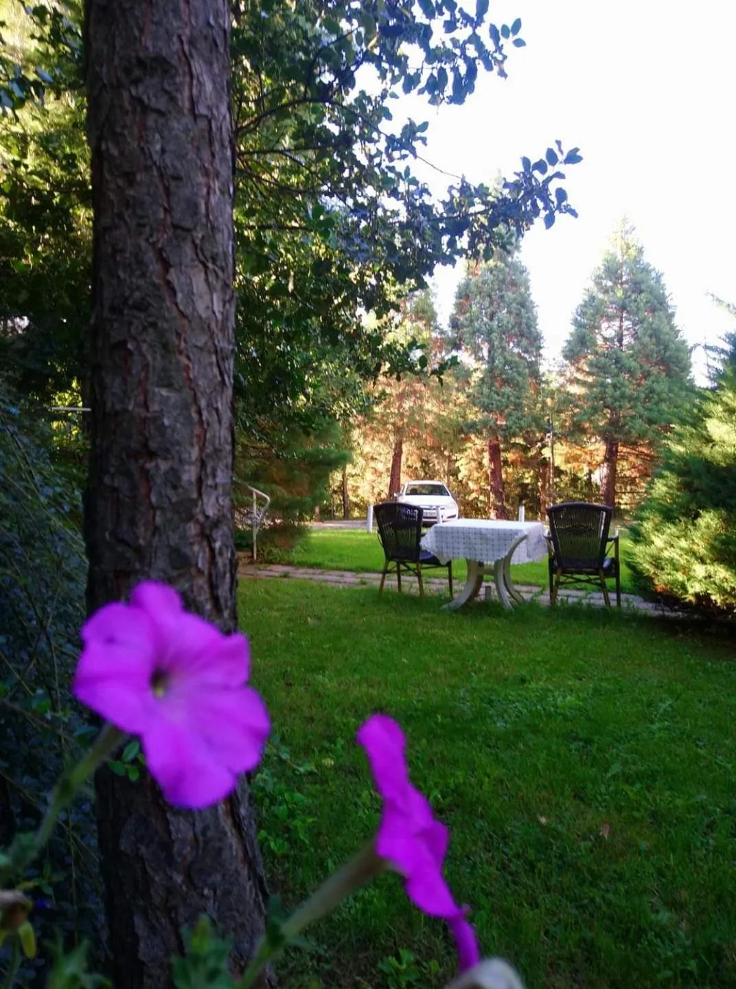 Park Hotel Amfora -Free Parking