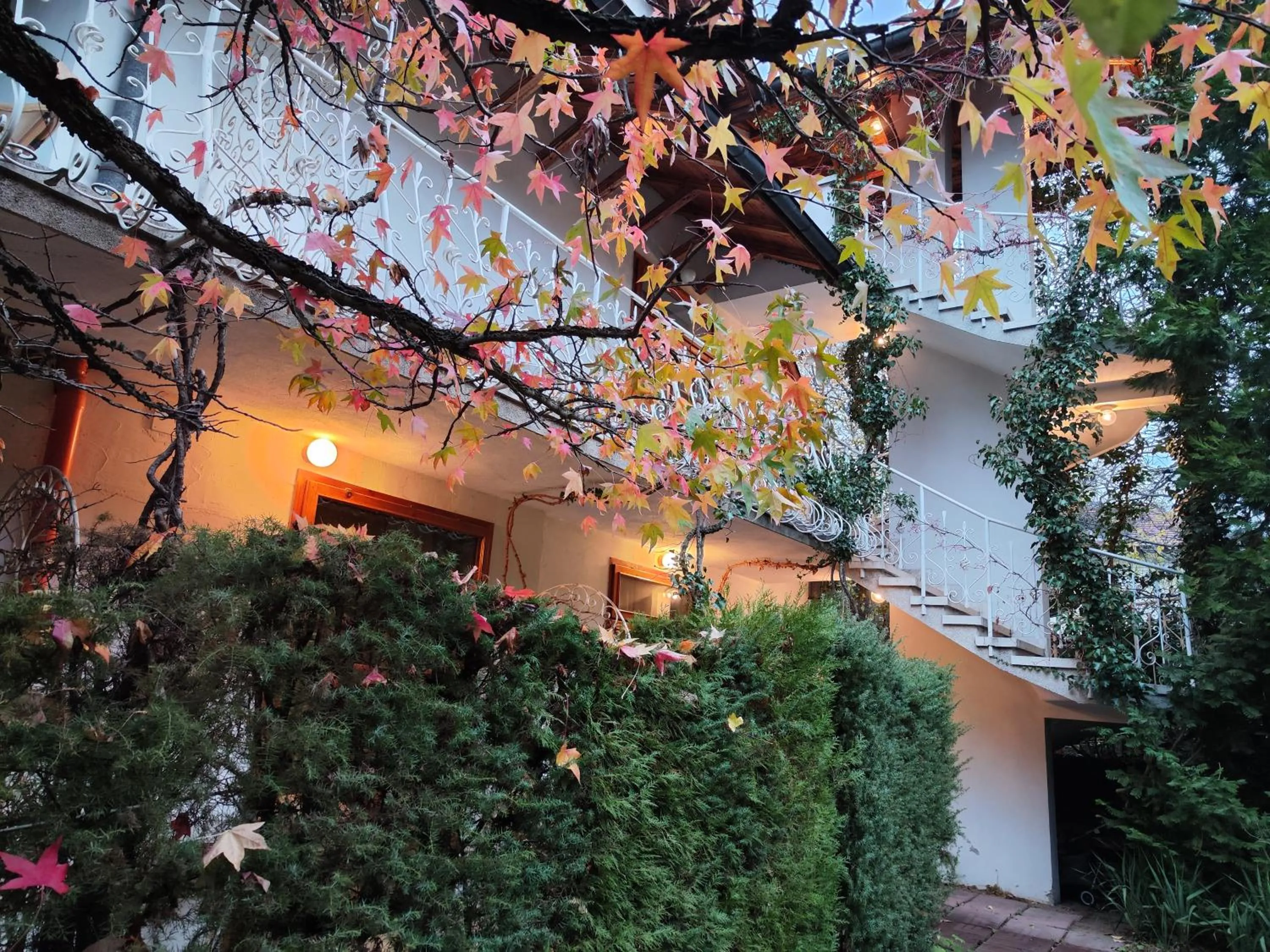 Park Hotel Amfora -Free Parking