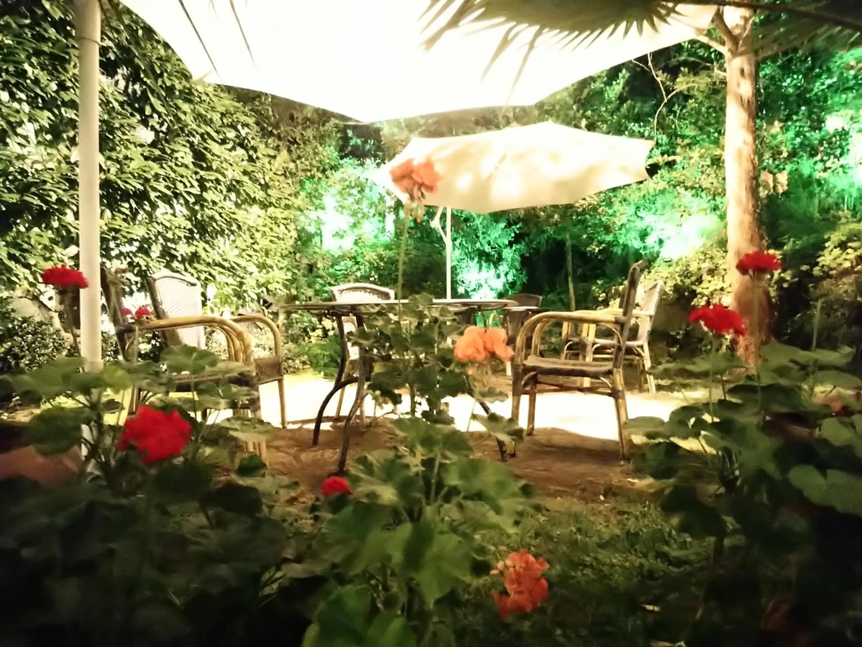 Park Hotel Amfora -Free Parking