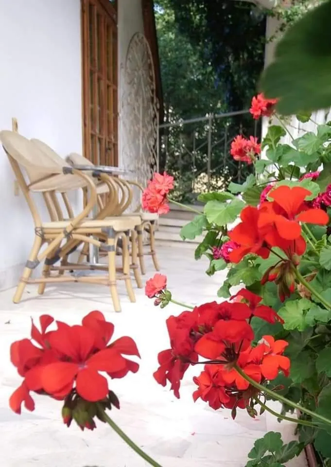 Park Hotel Amfora -Free Parking