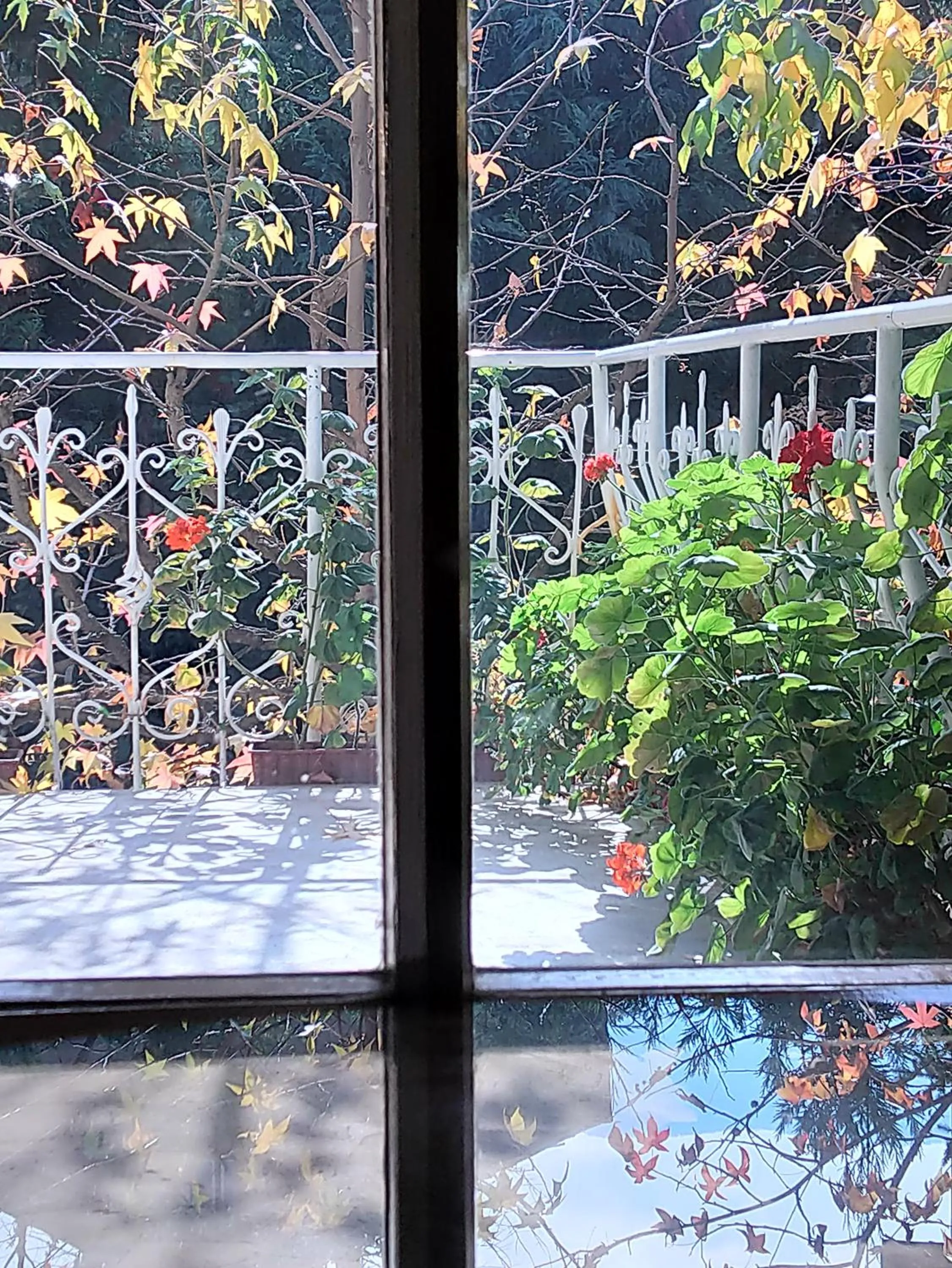 Park Hotel Amfora -Free Parking