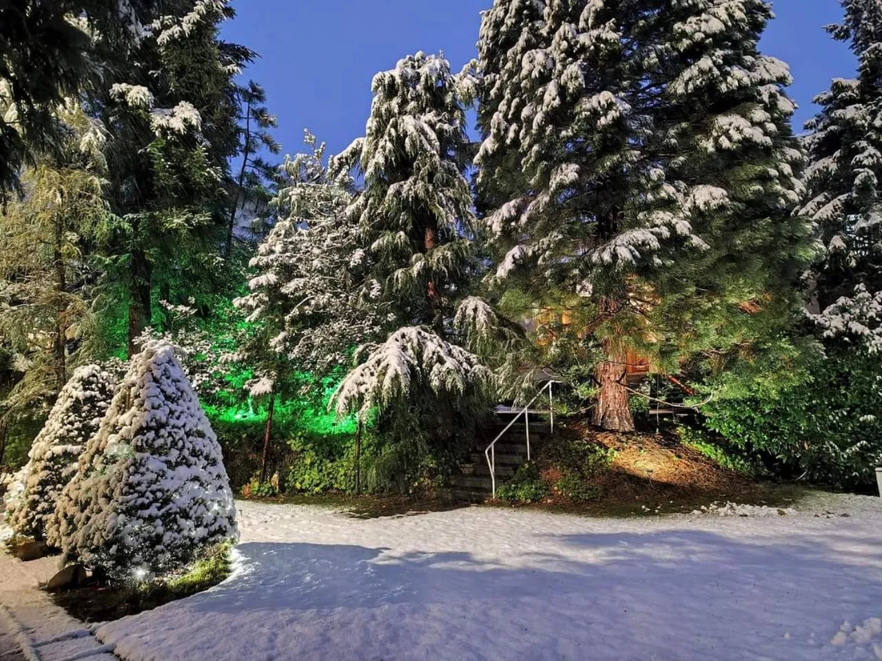 Park Hotel Amfora -Free Parking