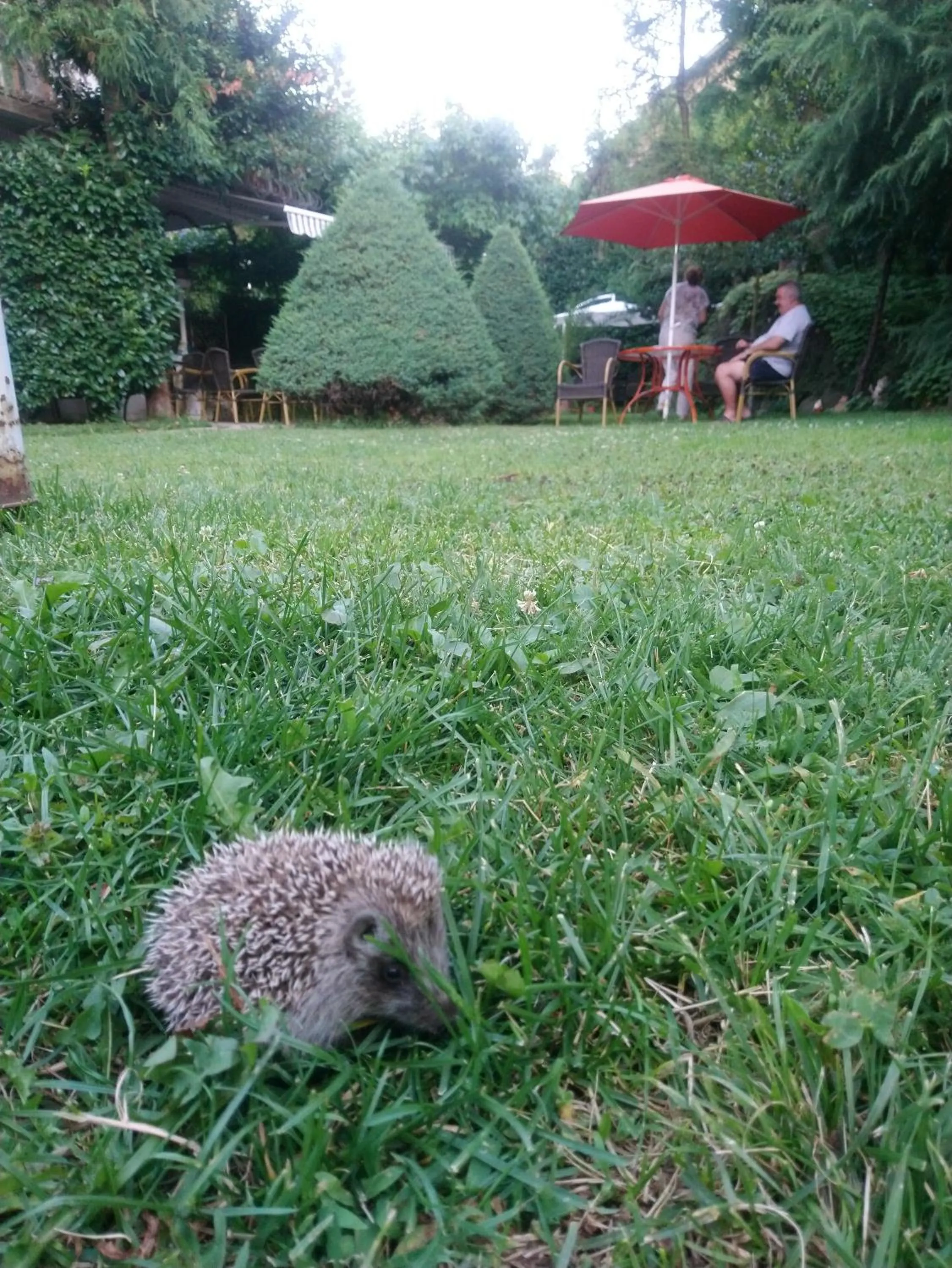 Park Hotel Amfora -Free Parking