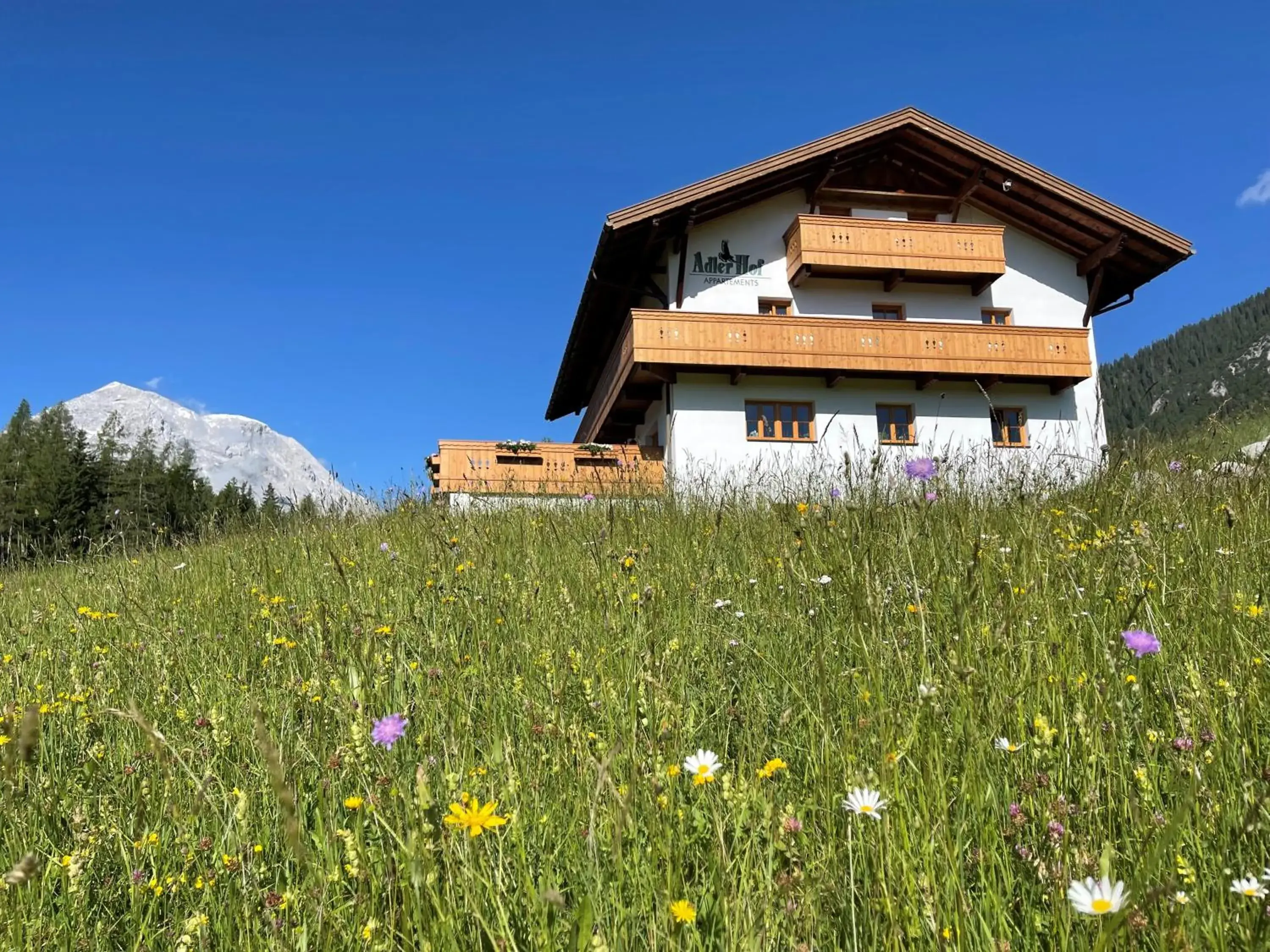 Adlerhof Adlerhof