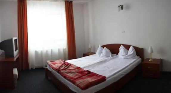 Hotel Paltinis