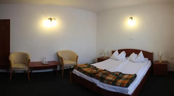 Hotel Paltinis