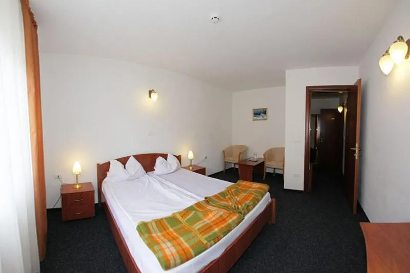 Hotel Paltinis