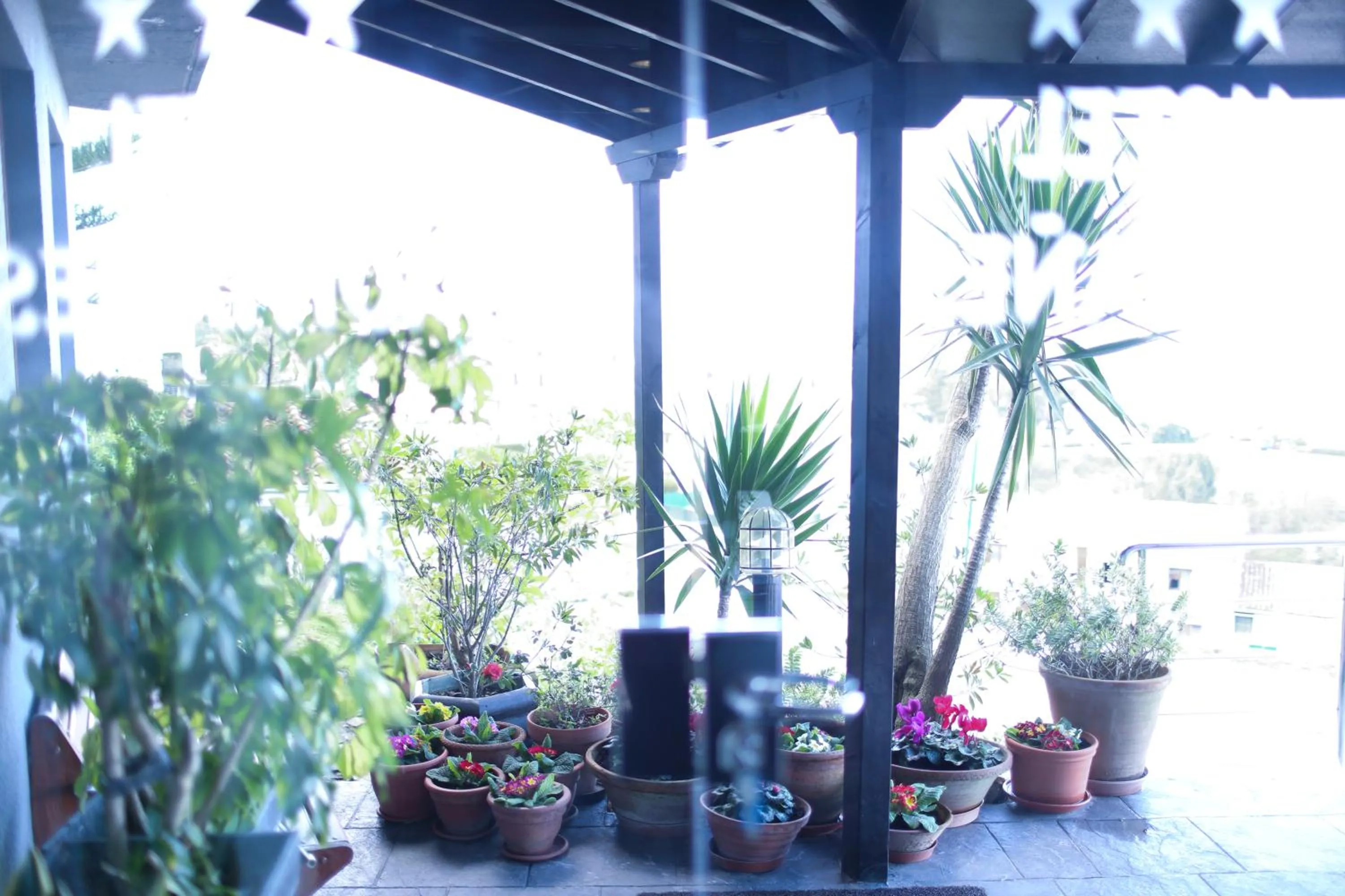 Facade/entrance in Hotel Montañés