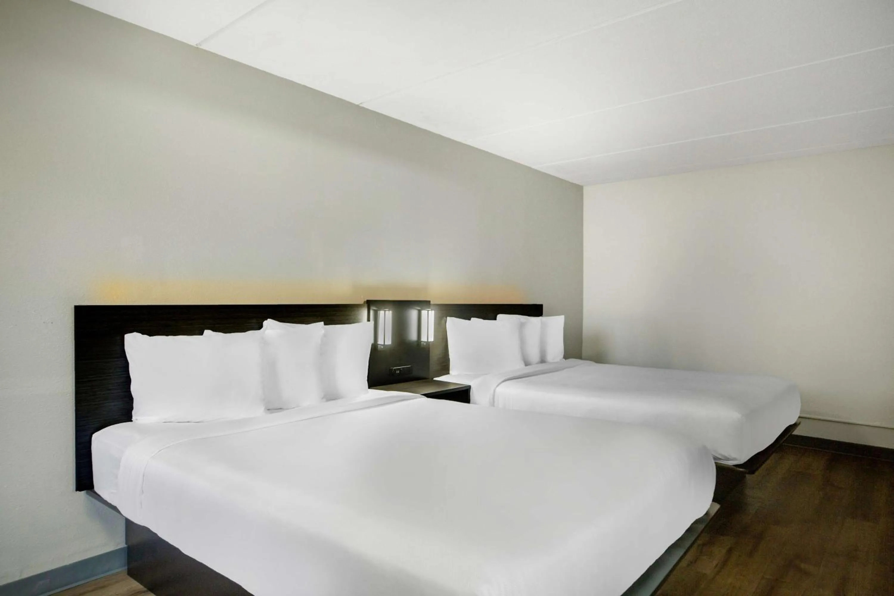 Bedroom, Bed in Motel 6 San Antonio, TX I-35 North Corridor