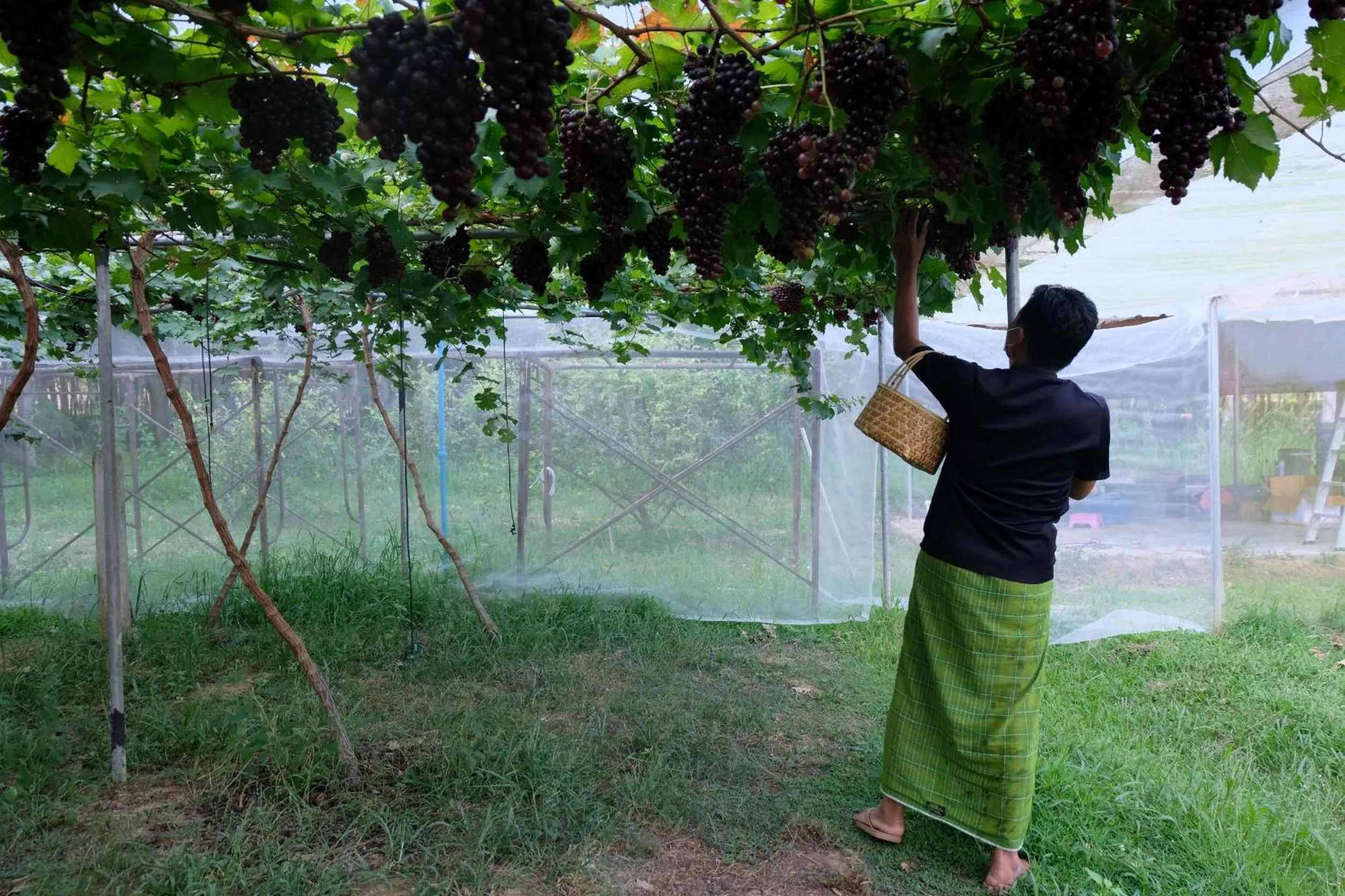 The Simple Koh Yao Noi