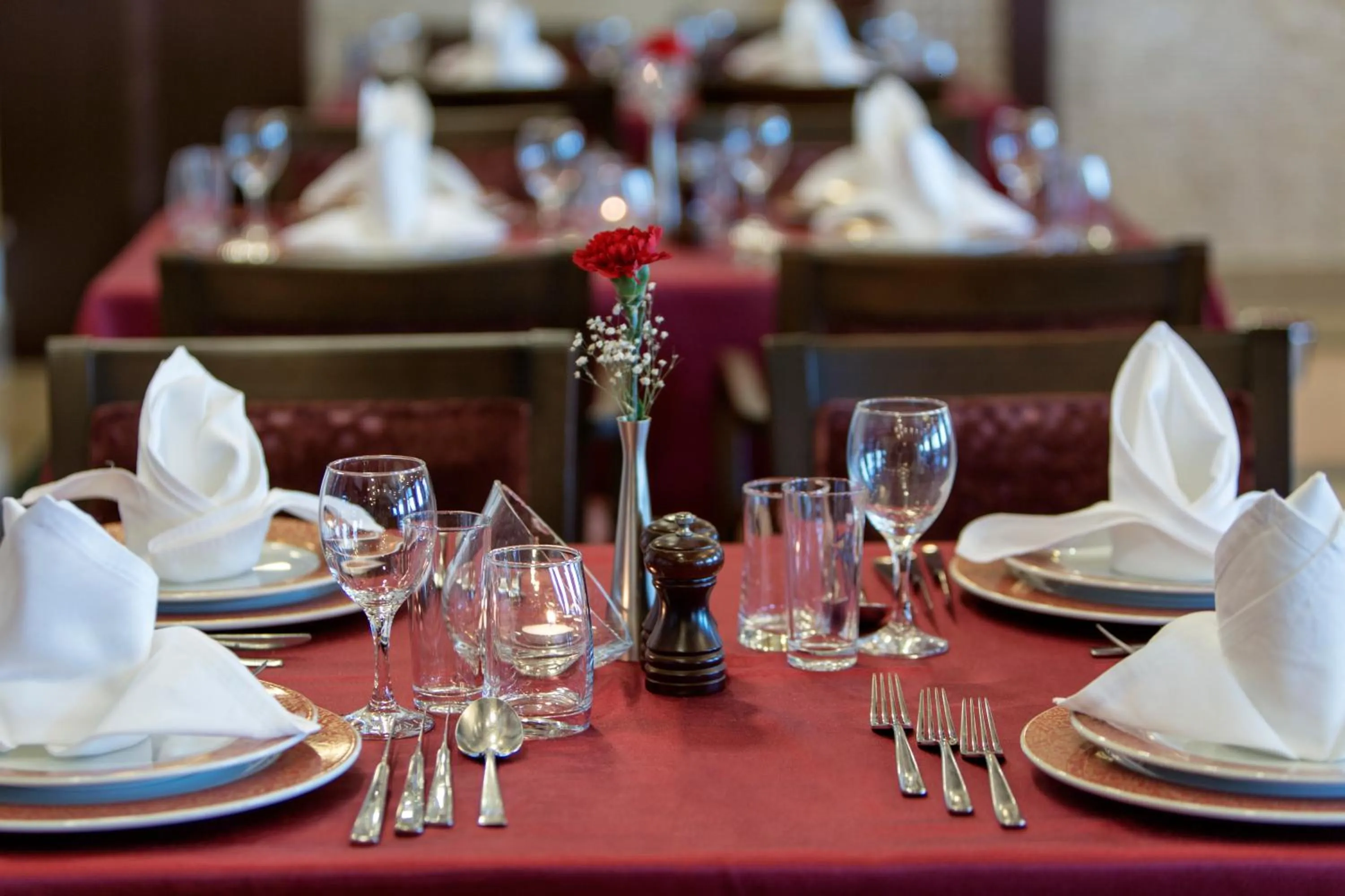 Restaurant/places to eat in Alba Royal Hotel - Ultra All Inclusive -Adults Only (+16)