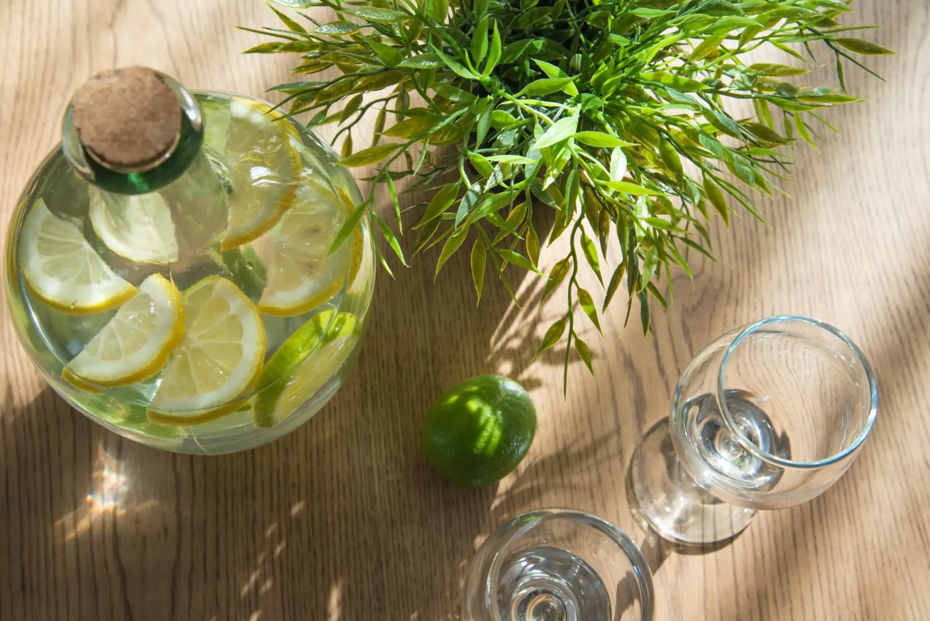 Food and drinks in Expo Hotel Sofia - Free Airport Shuttle Food and drinks in Expo Hotel Sofia - Free Airport Shuttle