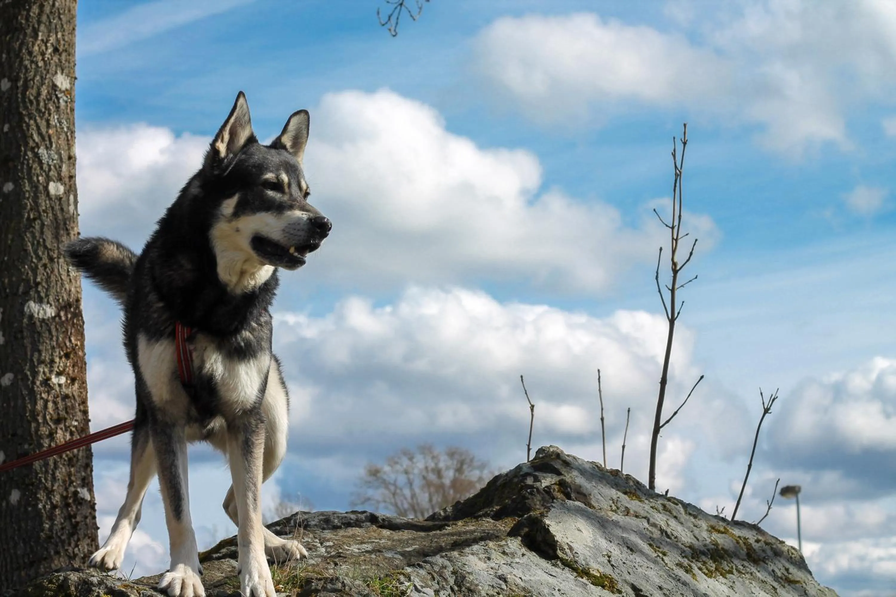 Hiking in Ödevata Gårdshotell