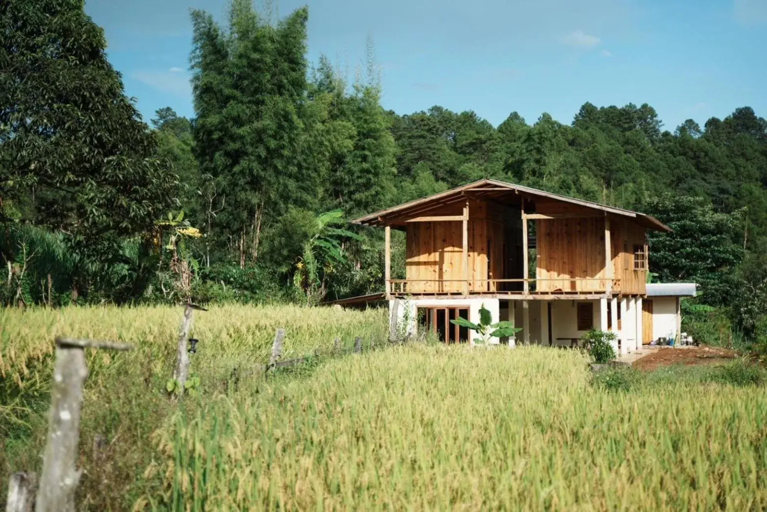 Nongtao Homestay Nongtao Homestay