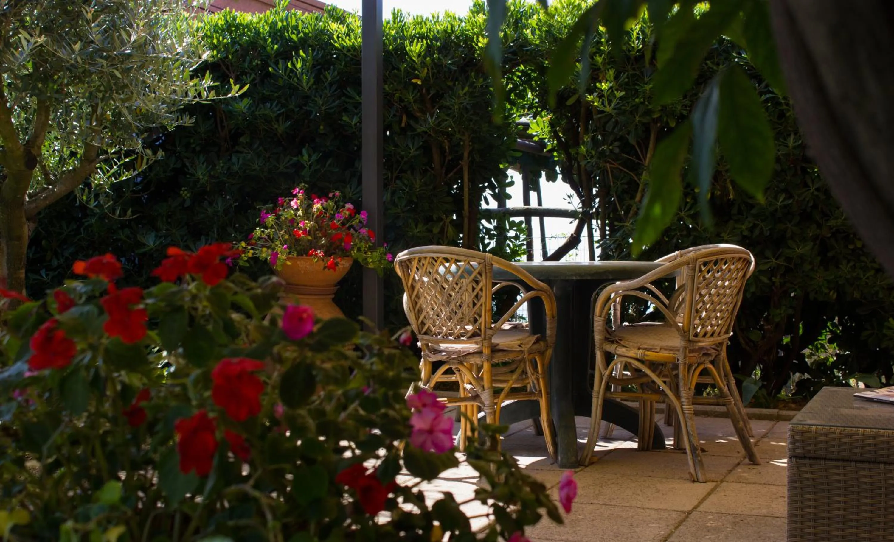 Patio in Villa Donna Fausta
