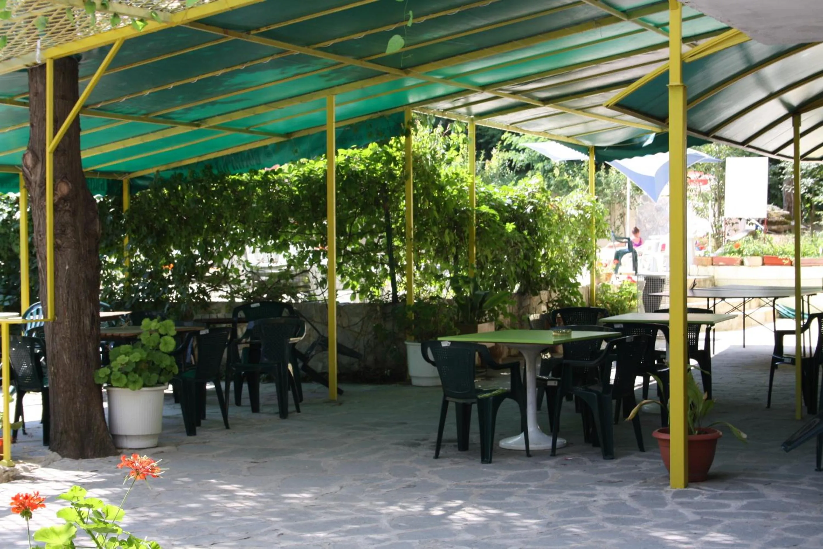 Garden in Hotel Varshava