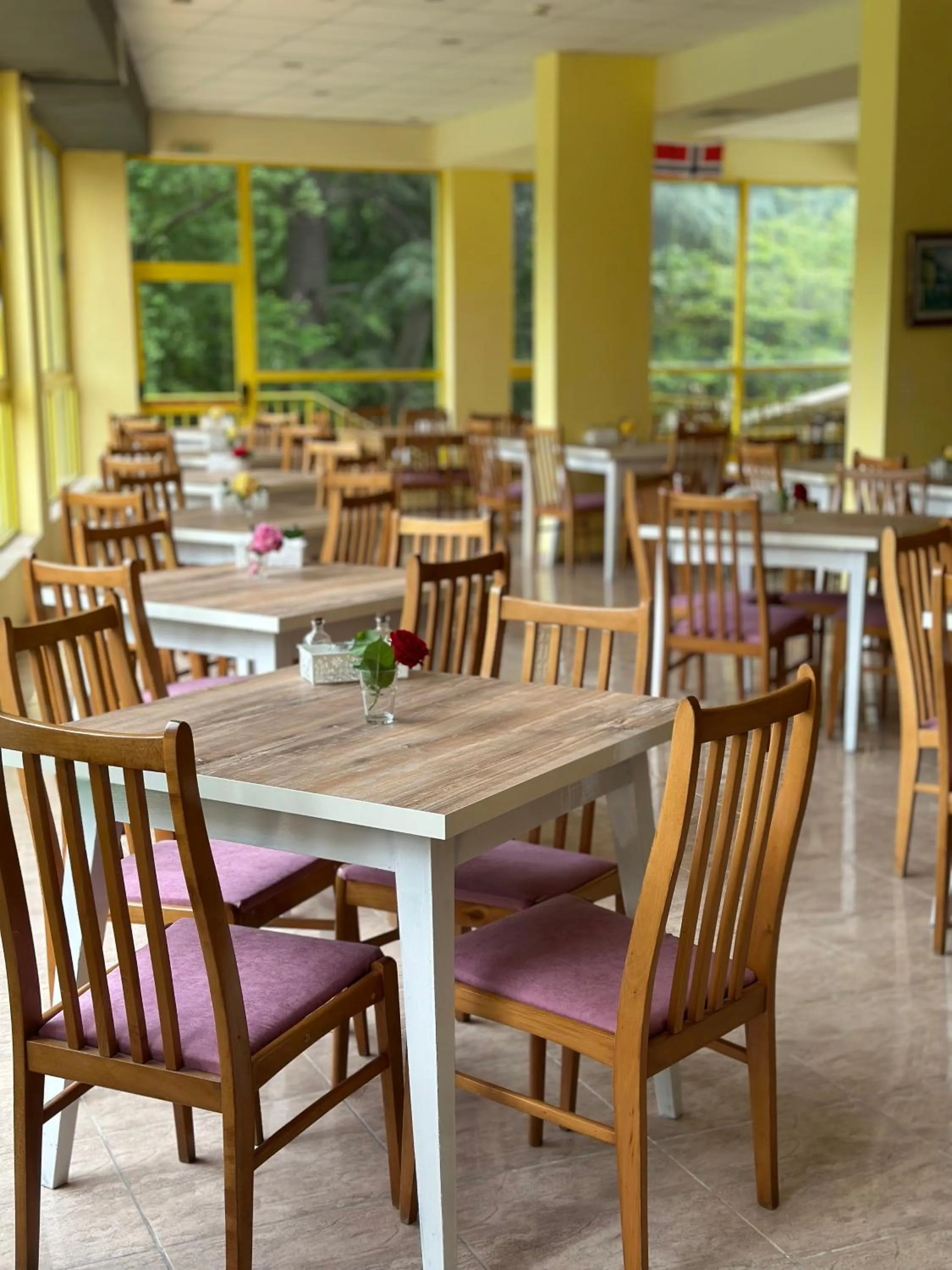 Restaurant/places to eat in Hotel Varshava
