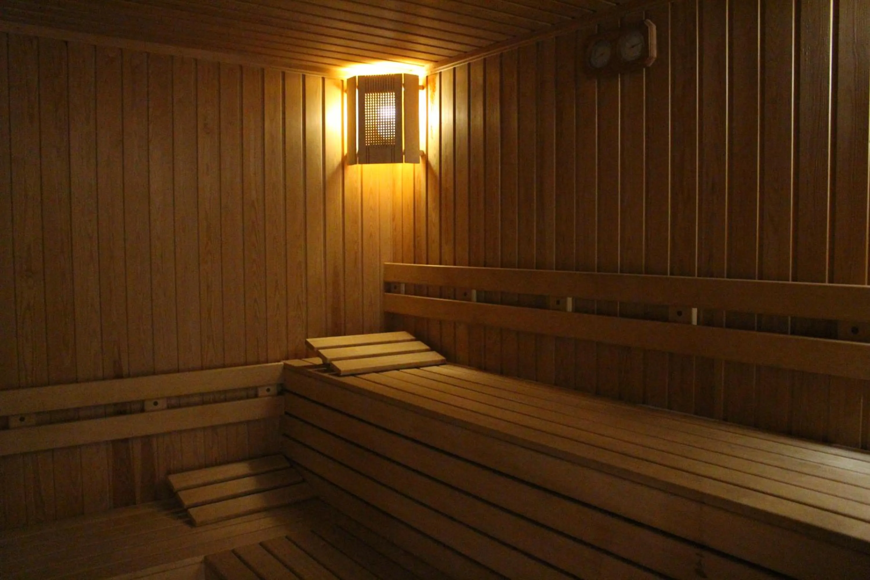 Sauna in Casa Boyana Boutique Hotel