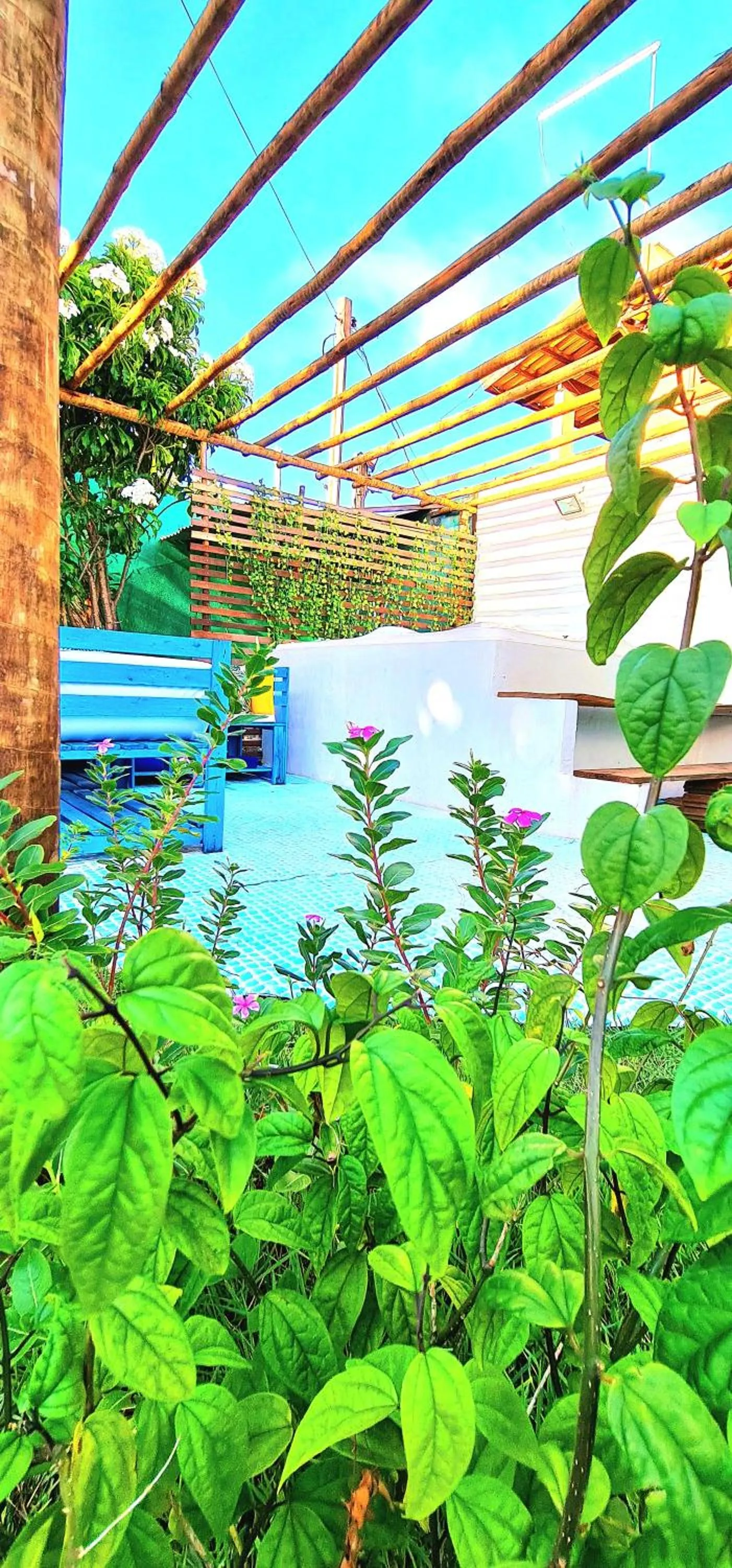 Garden in Di Pipa Rooms - Hidromassagem Externa