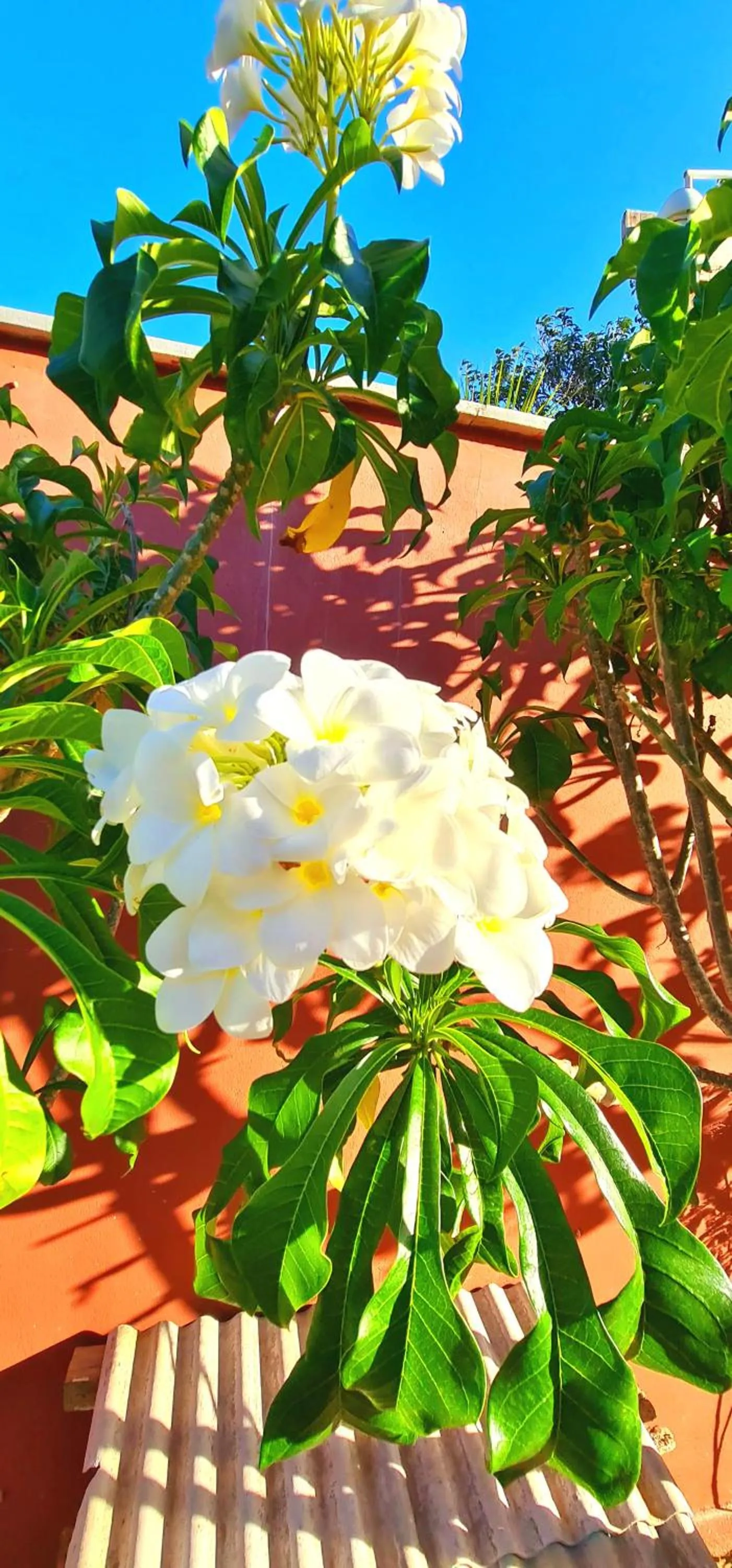 Garden in Di Pipa Rooms - Hidromassagem Externa