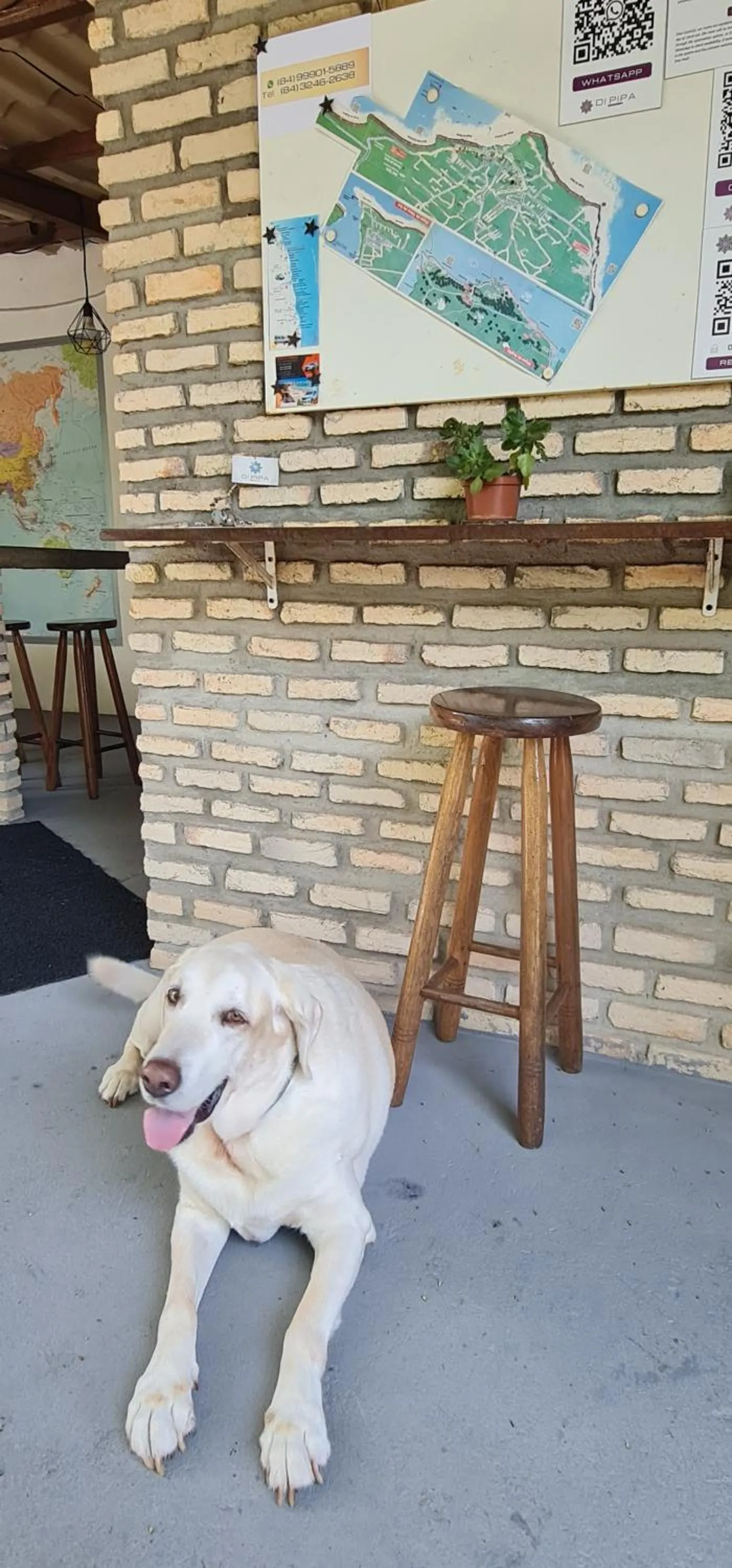 Di Pipa Rooms - Hidromassagem Externa