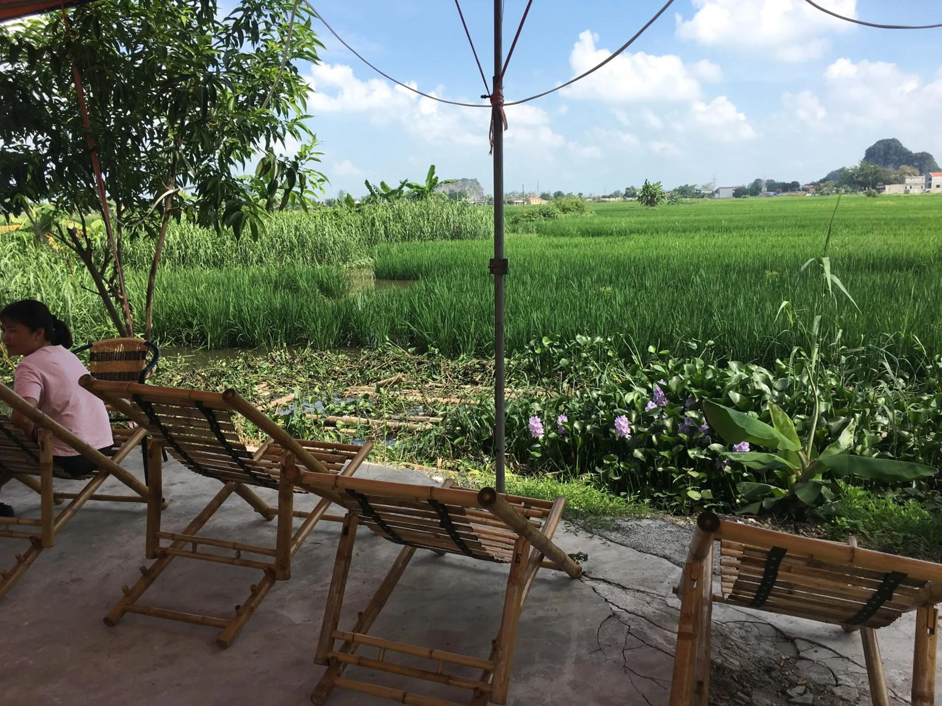 View (from property/room) in Tam Coc Rice Fields Homestay