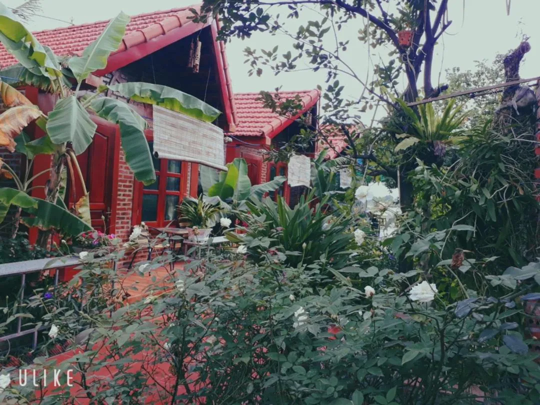 Garden view in Tam Coc Rice Fields Homestay