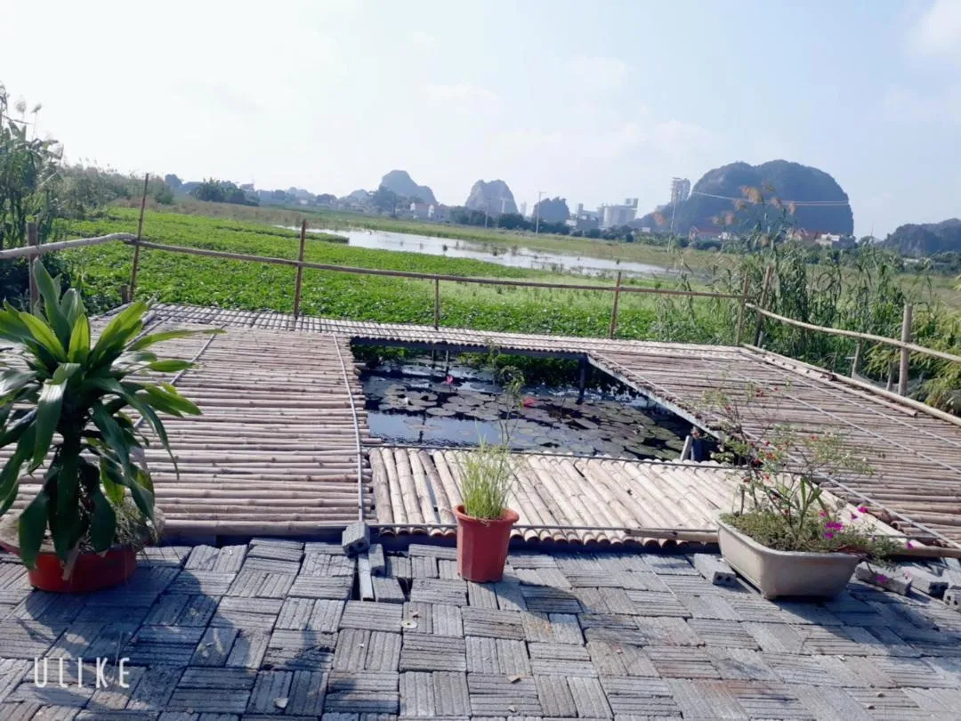 Mountain view in Tam Coc Rice Fields Homestay