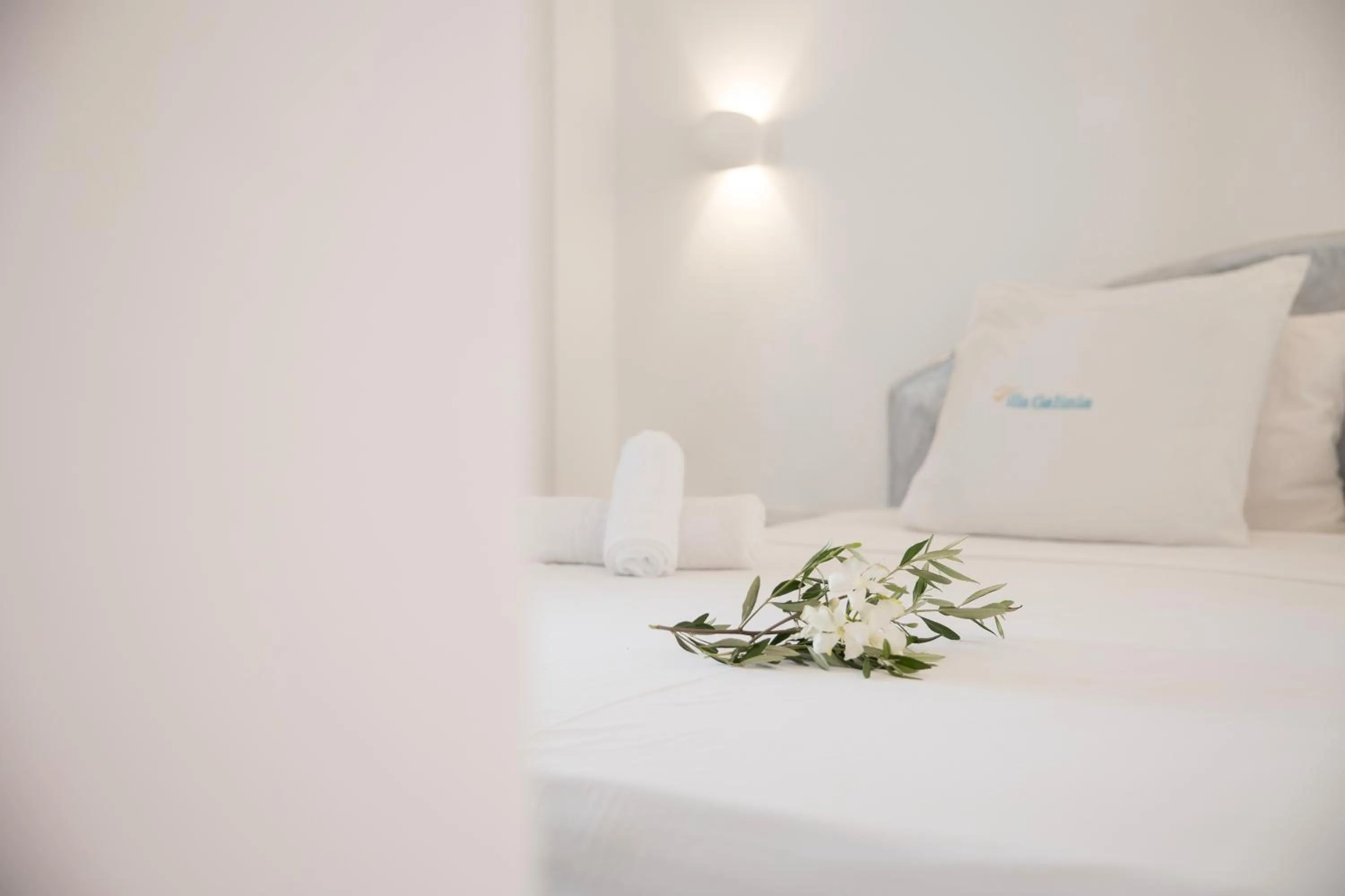 Bed in Villa Galinia