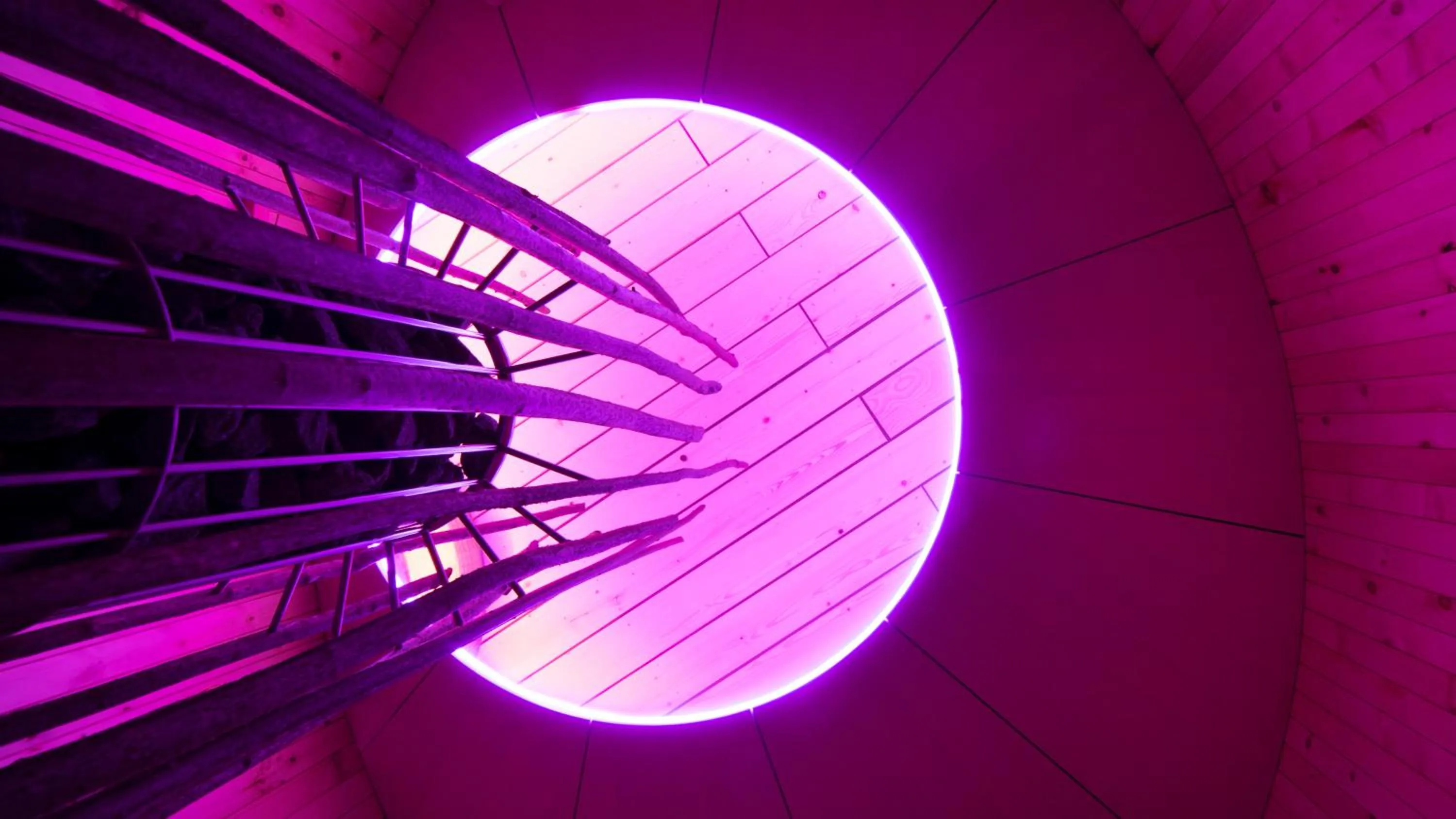 Area and facilities in Hotel Jagdschloss Resort