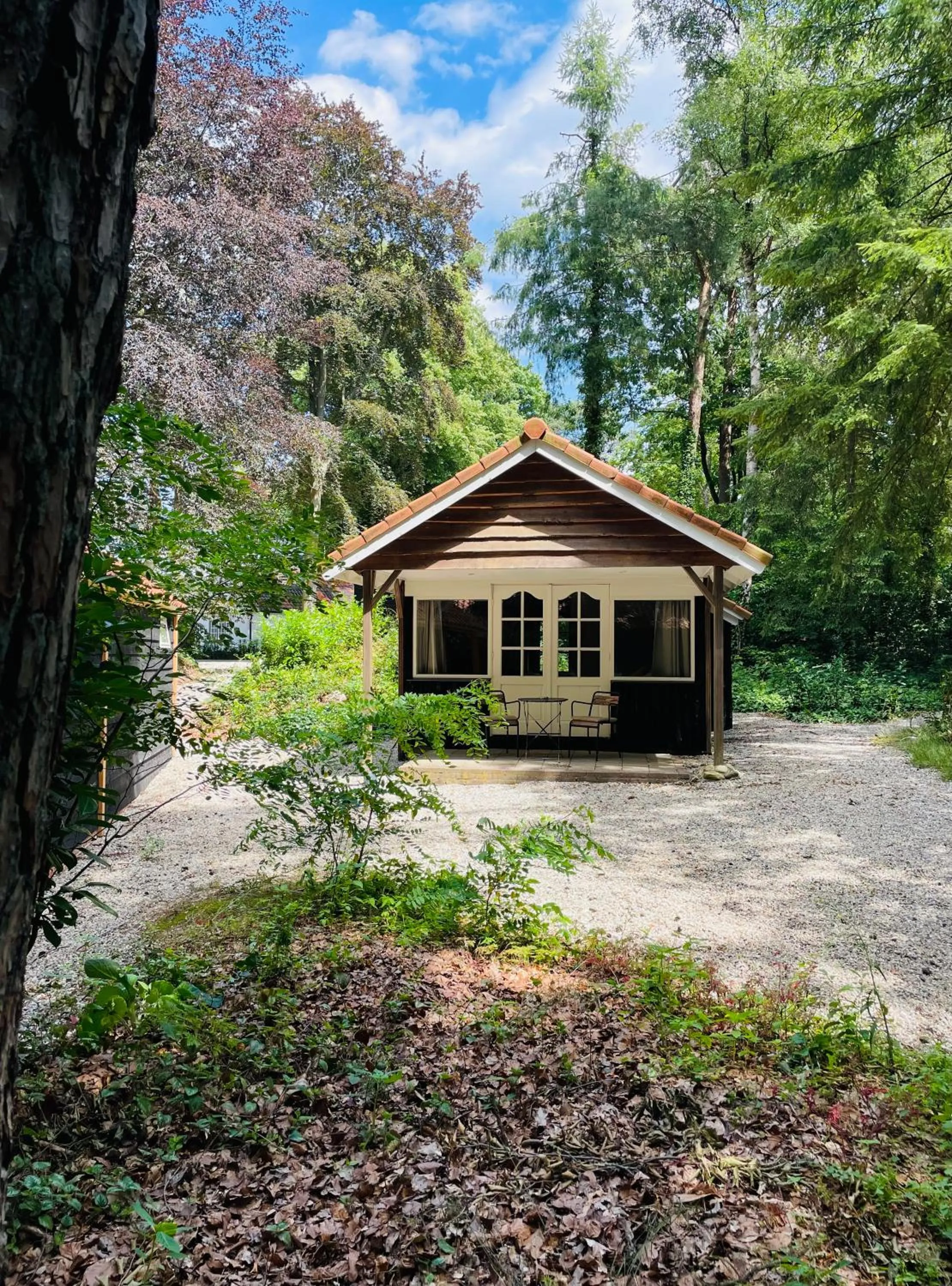 Natural landscape in Landgoedhotel Villa Vennendal