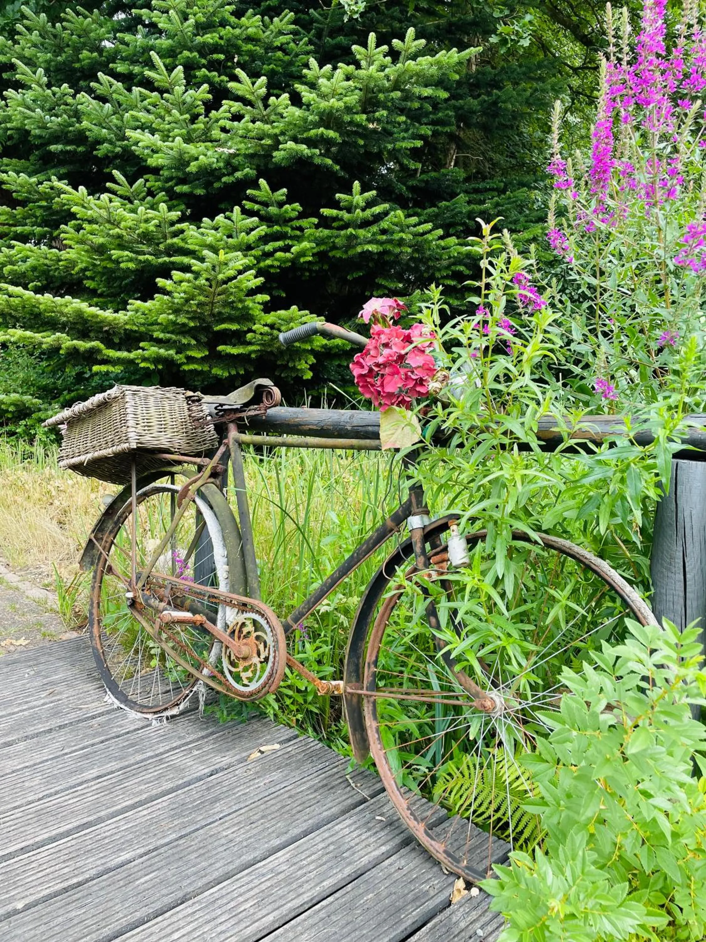 Garden in Landgoedhotel Villa Vennendal