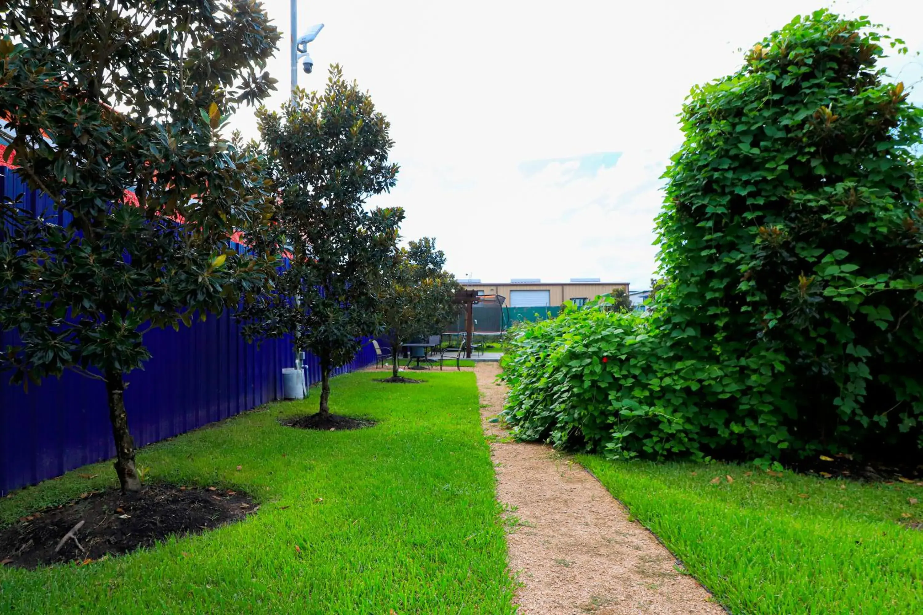 Garden in Scottish Inn and Suites Houston-Jones Road