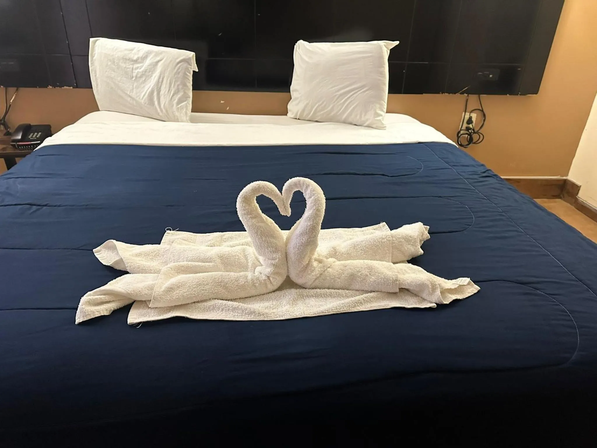 Bed in Circle Motor Lodge