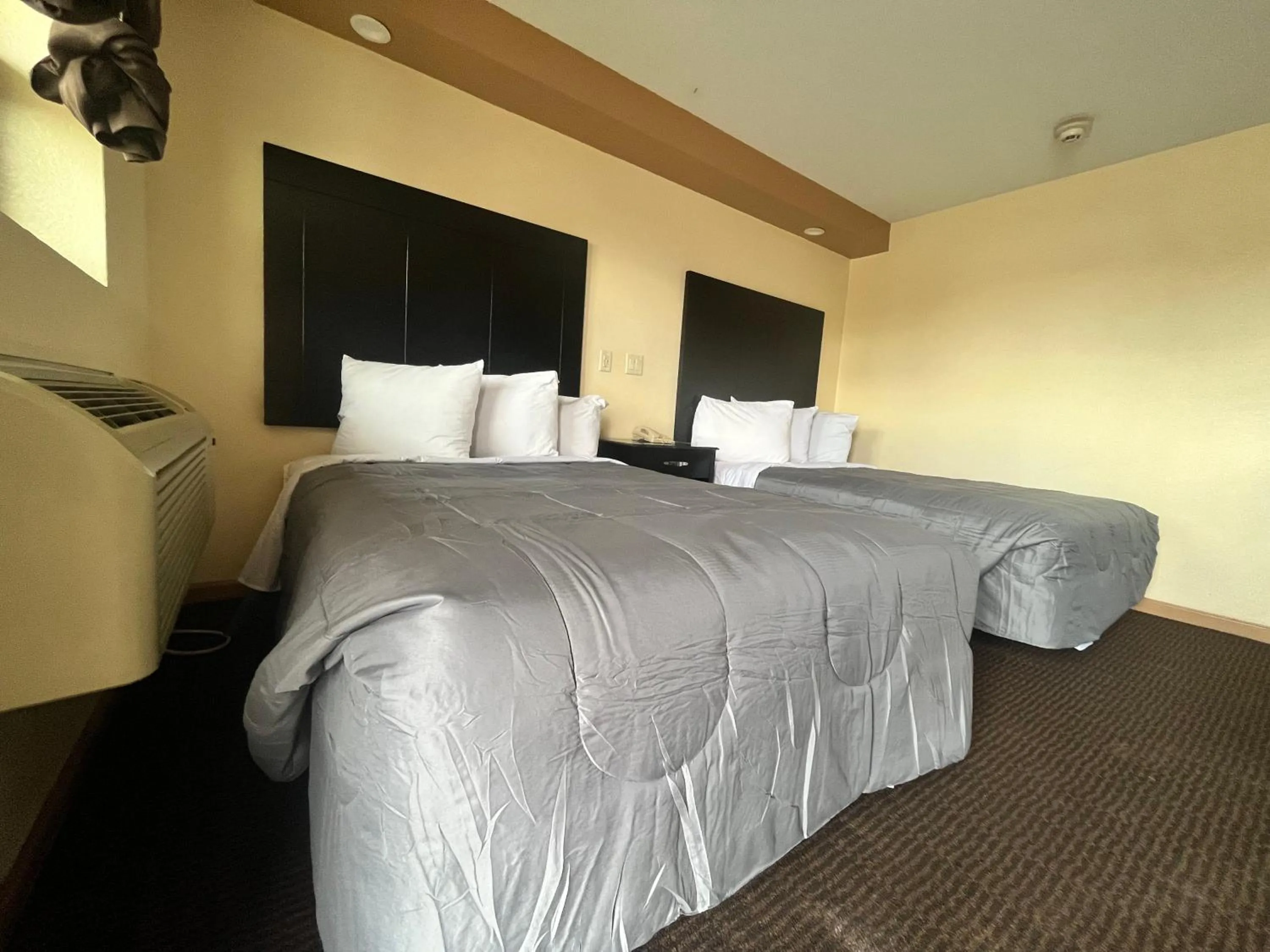 Bed in Circle Motor Lodge