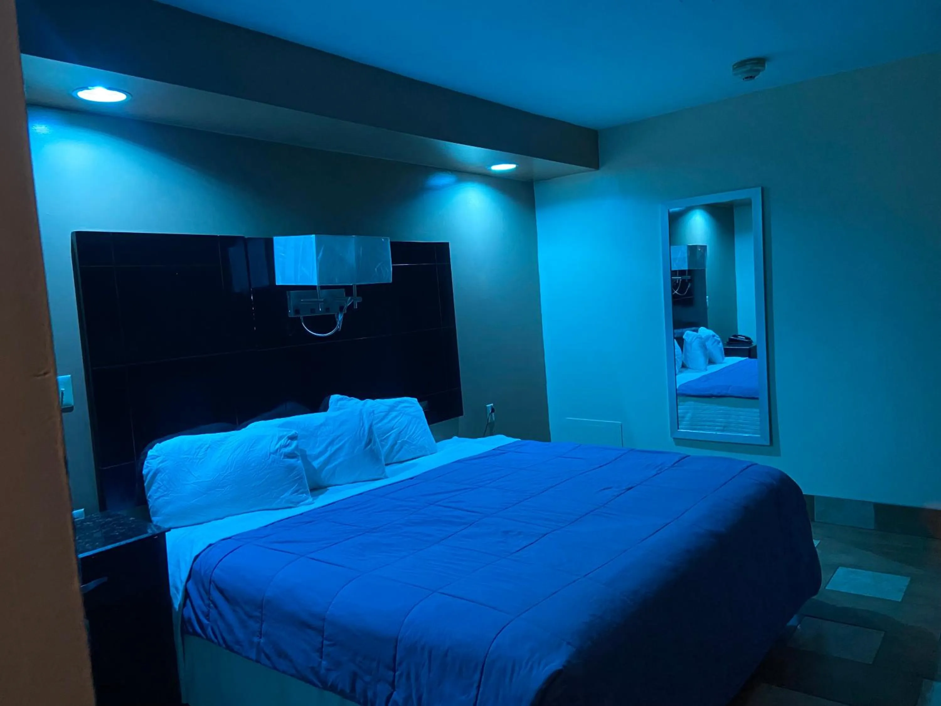 Bed in Circle Motor Lodge