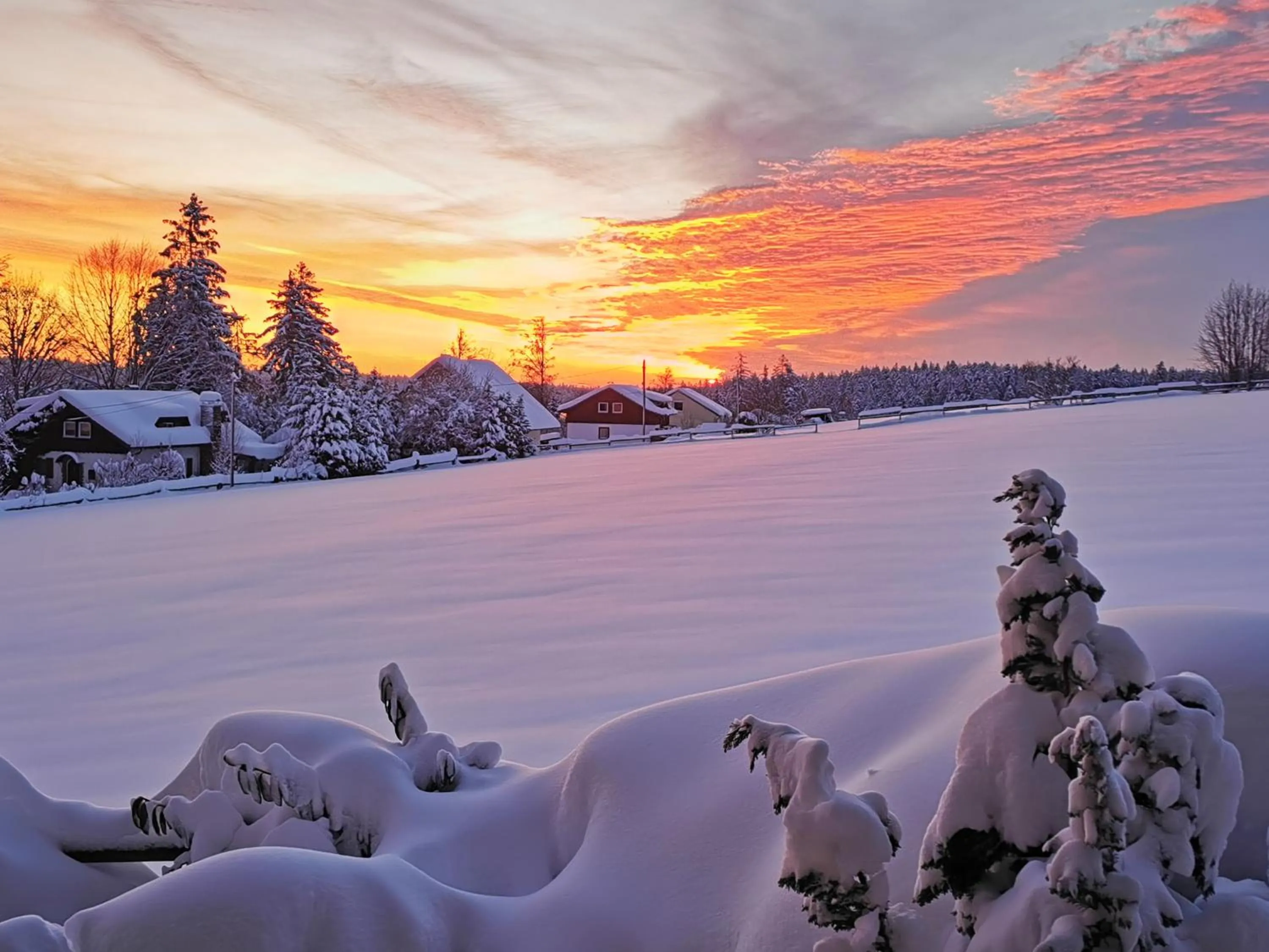 Landpension Pferdekoppel - B&B - Self Checkin