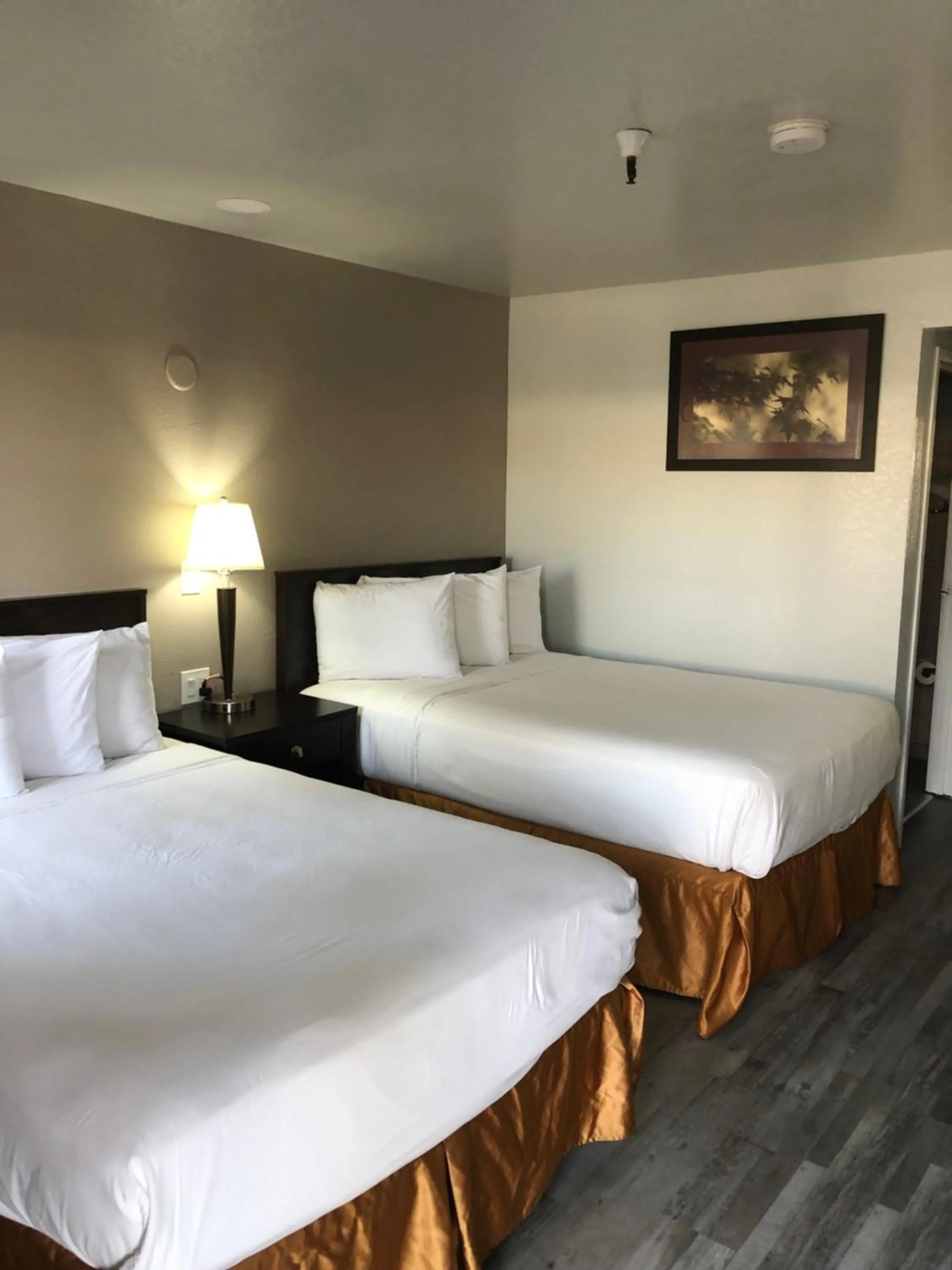 Bedroom, Bed in Travelodge by Wyndham Sacramento / Rancho Cordova