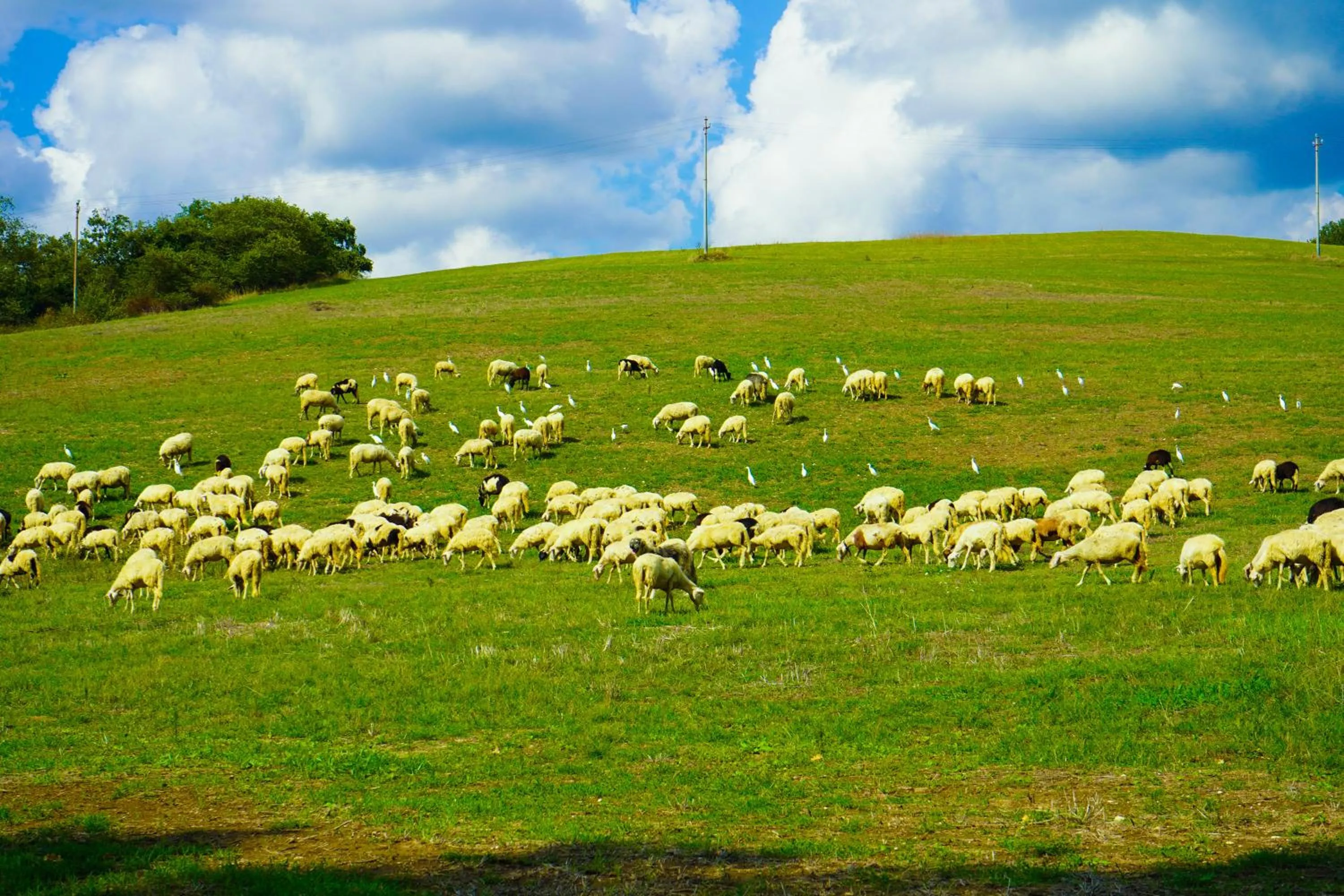 Borgo Pallavicini Mori