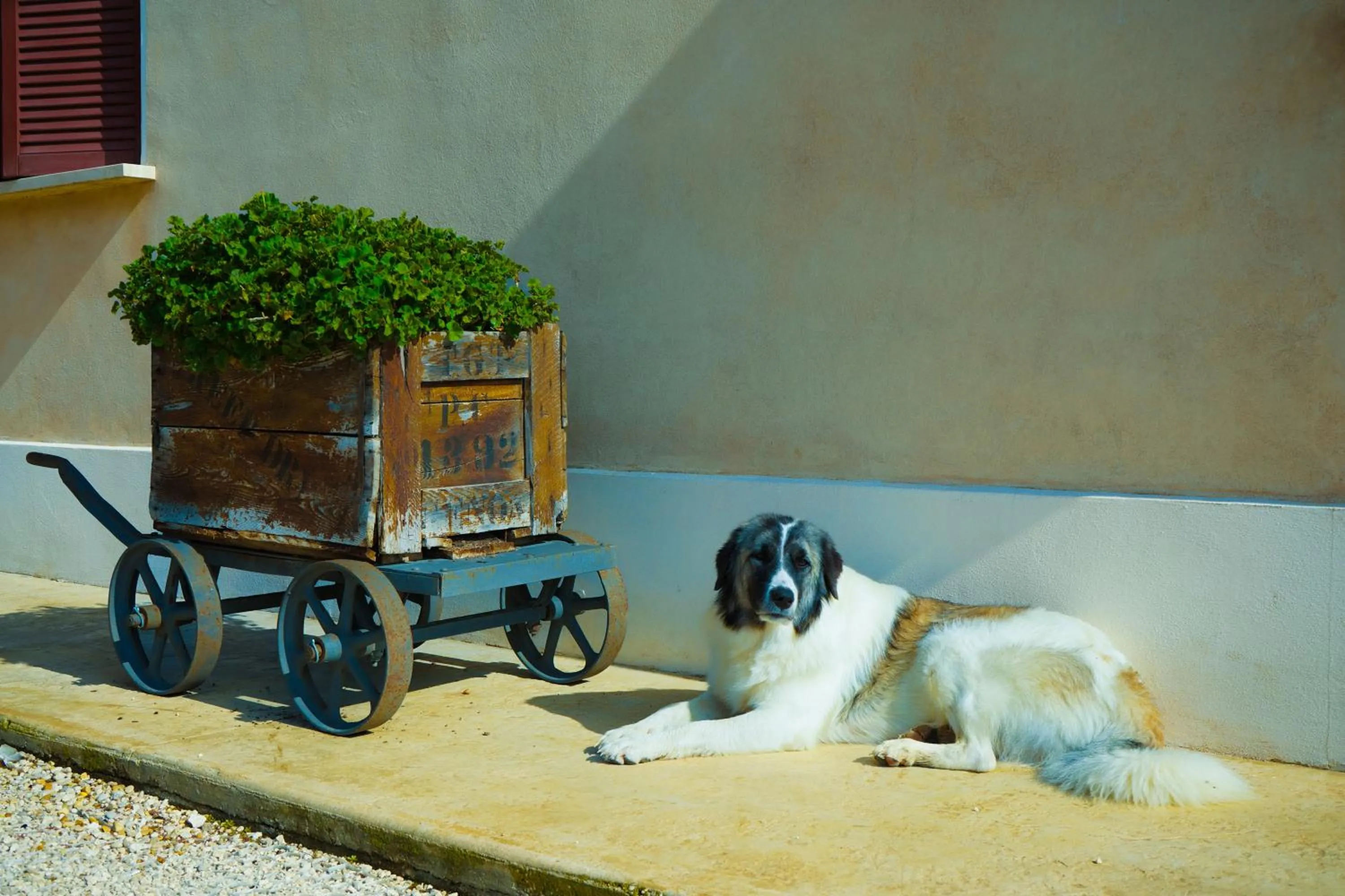 Borgo Pallavicini Mori