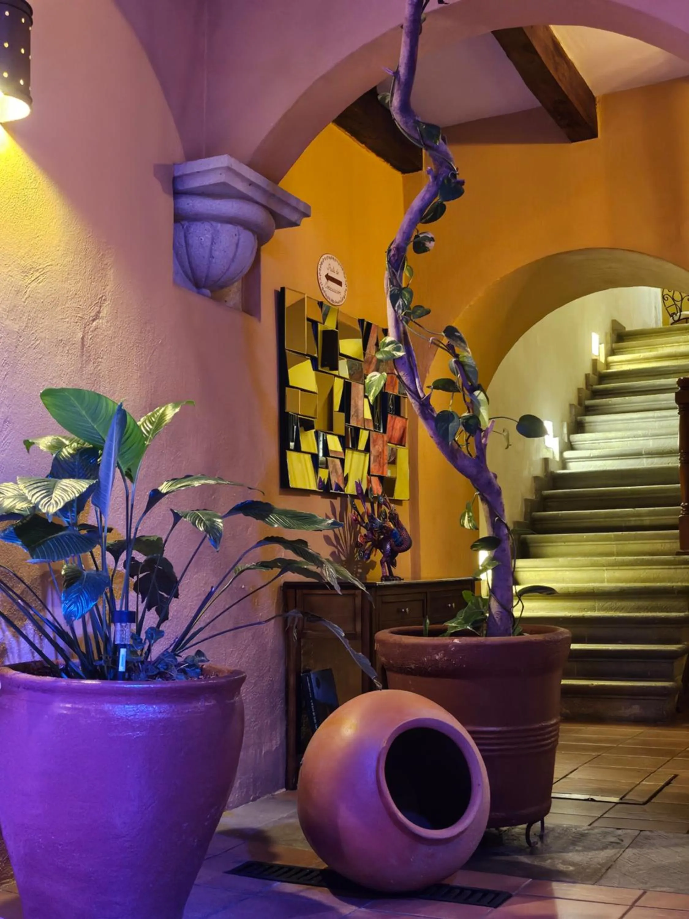 Hotel Casa Divina Oaxaca