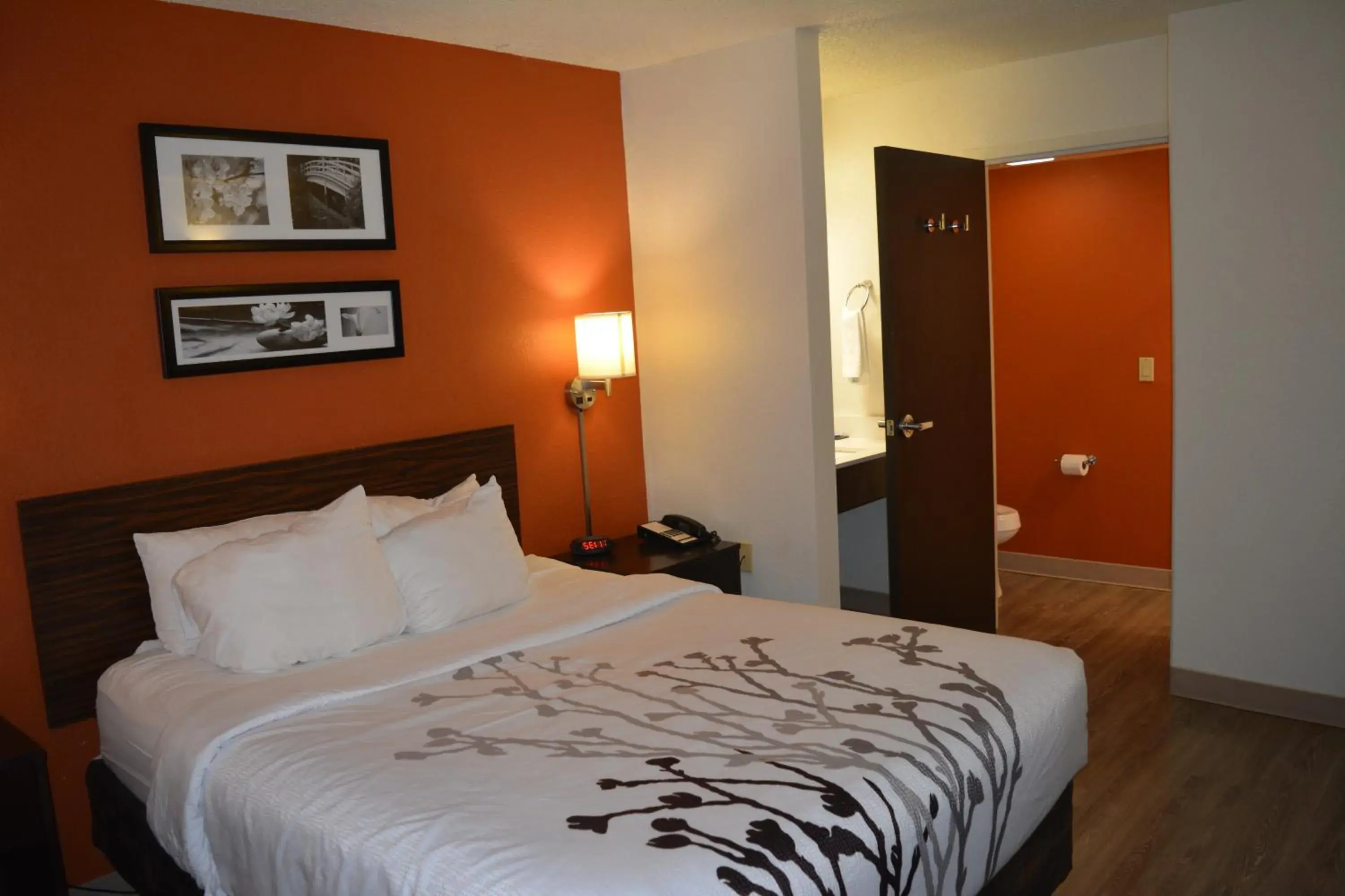 Bed in Sleep Inn Arlington Near Six Flags Bed in Sleep Inn Arlington Near Six Flags