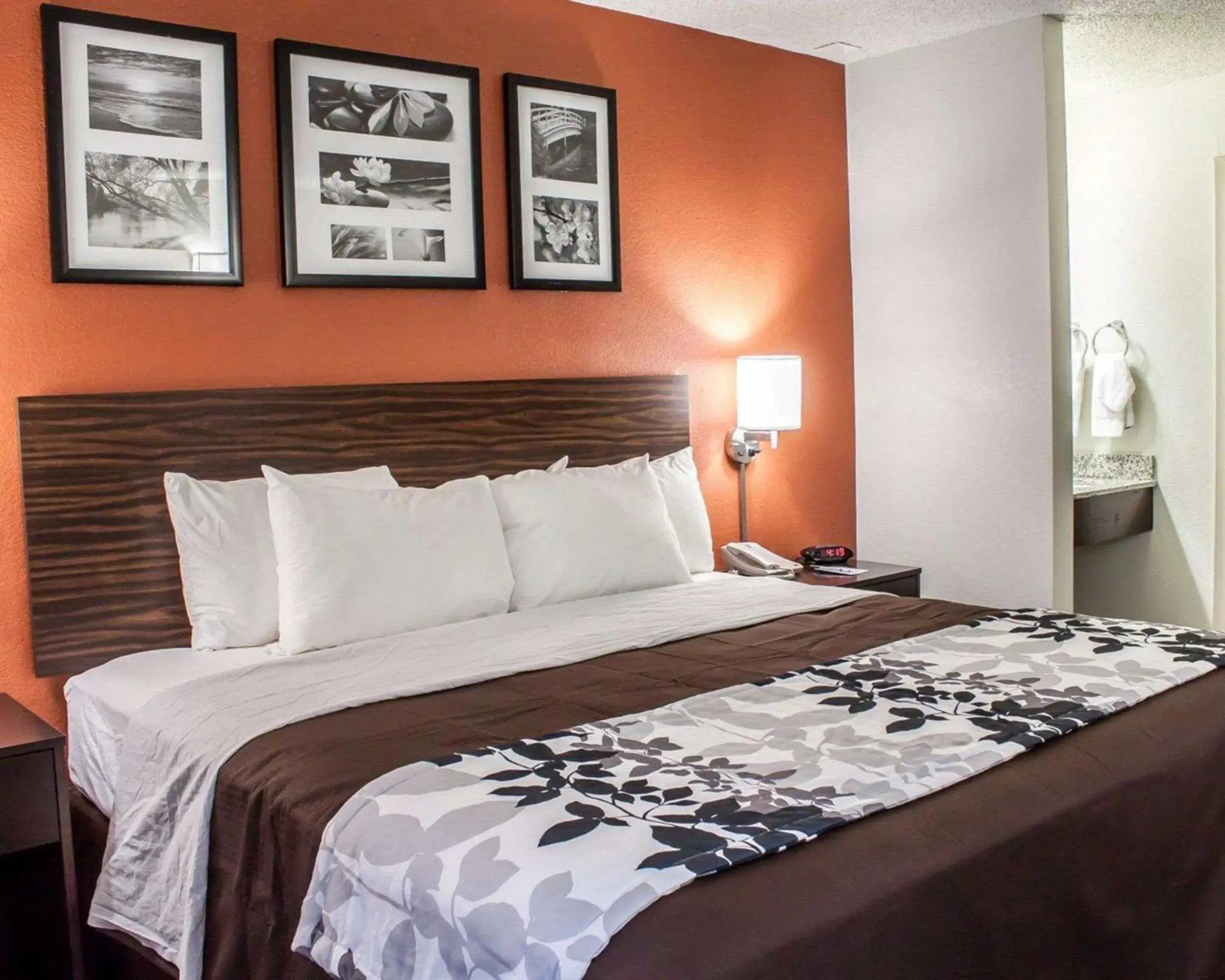 Photo of the whole room, Bed in Sleep Inn Arlington Near Six Flags Photo of the whole room, Bed in Sleep Inn Arlington Near Six Flags