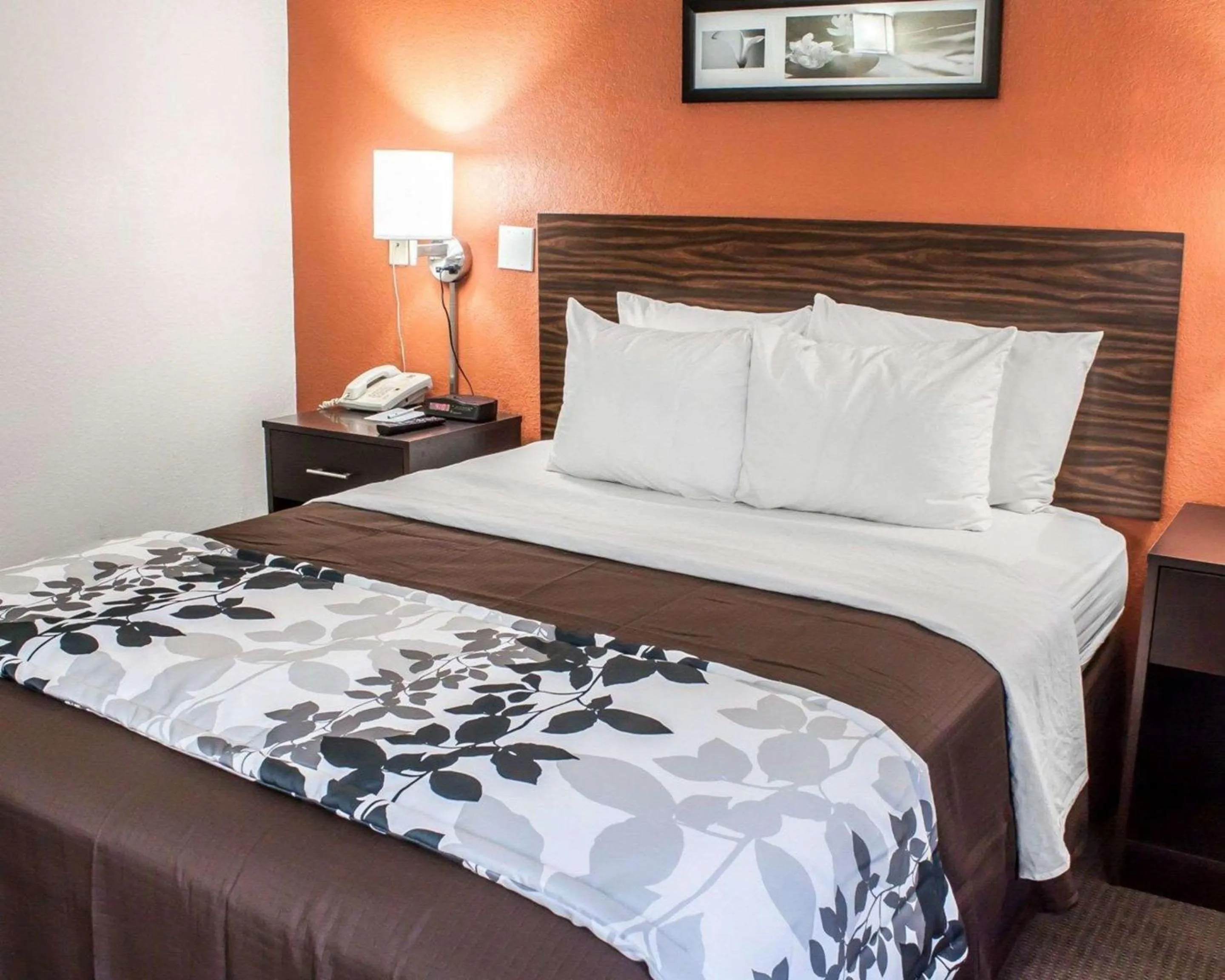 Photo of the whole room, Bed in Sleep Inn Arlington Near Six Flags