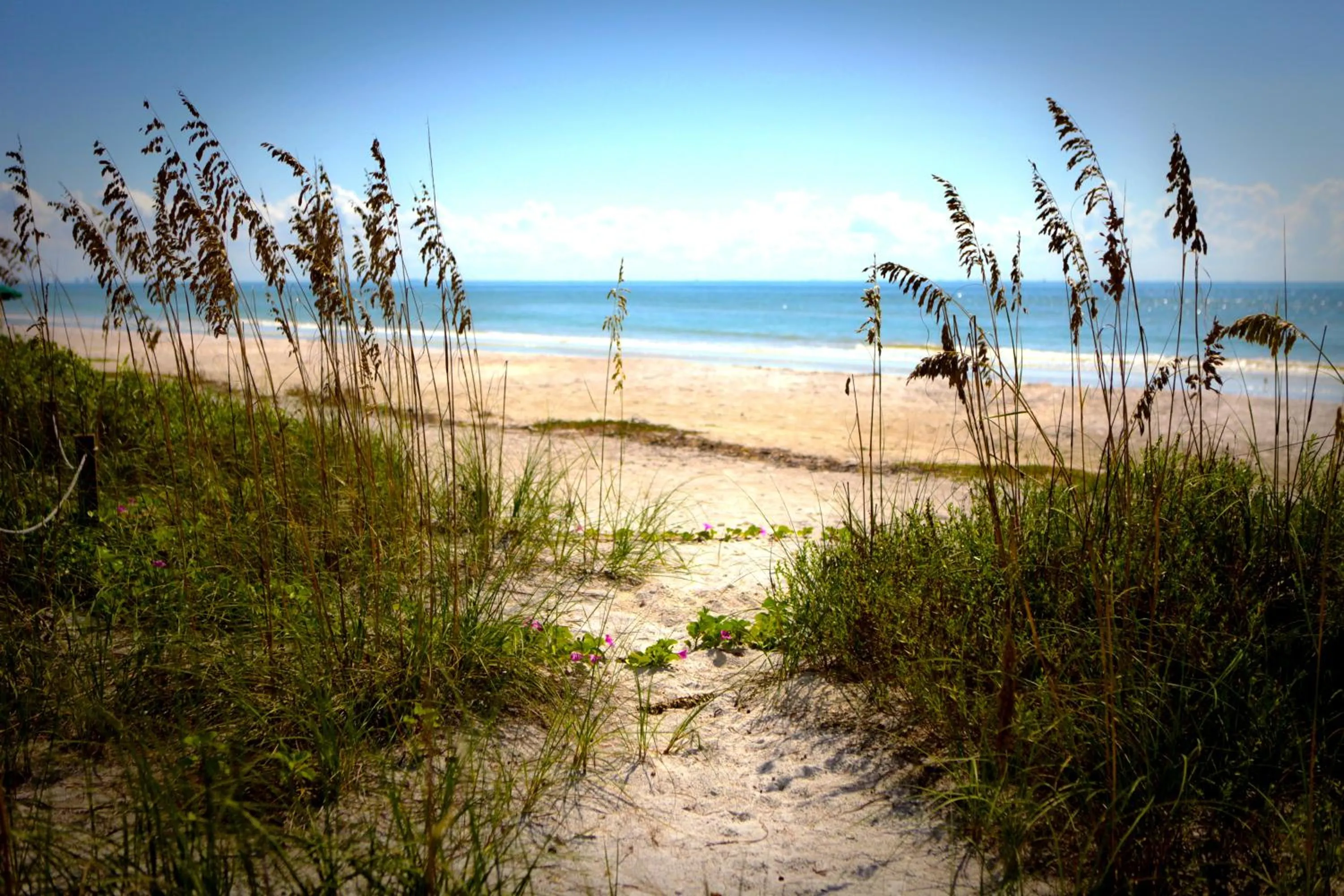 Beach in Casa Ybel Resort