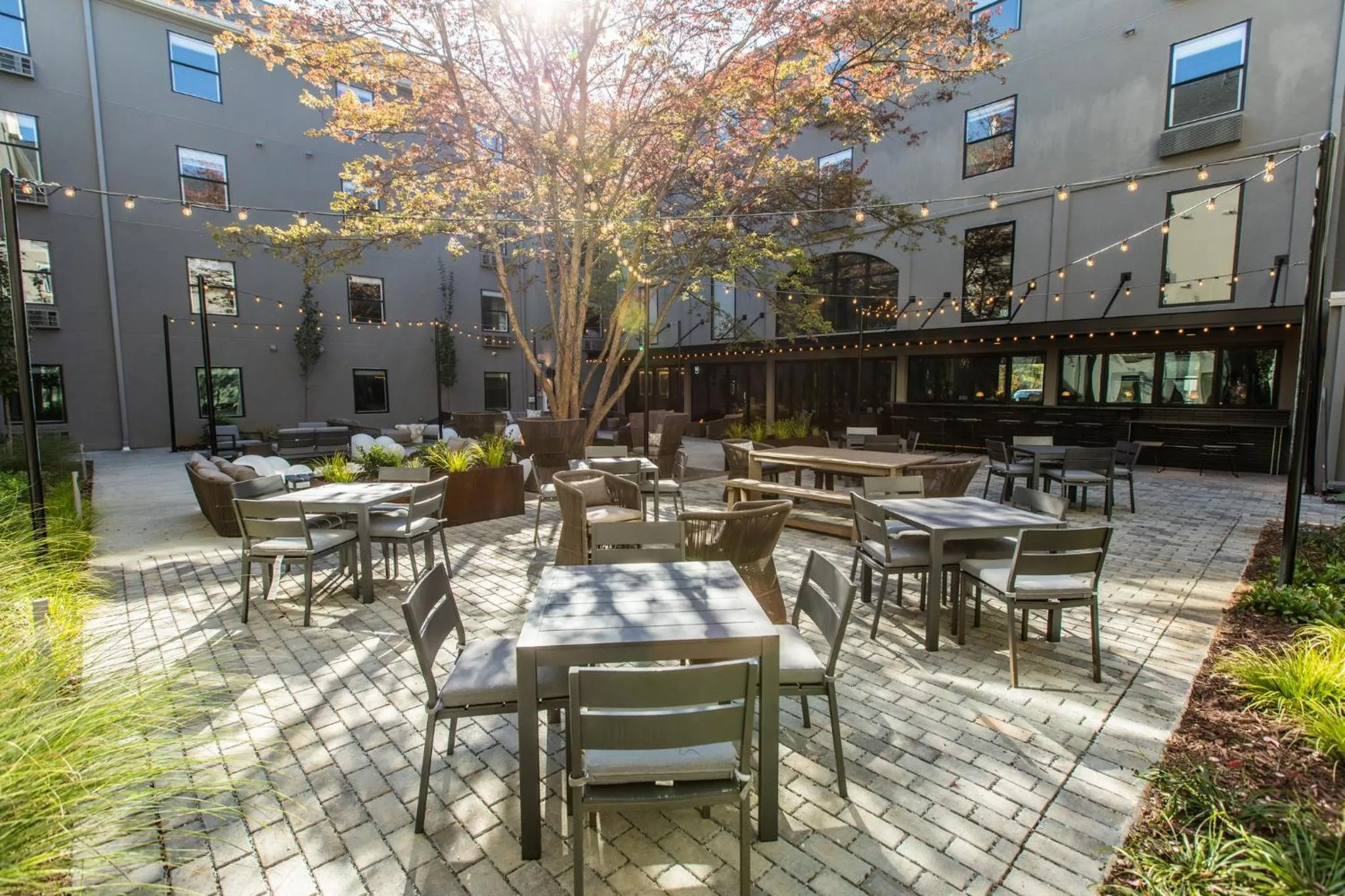 Other in voco The Darwin - Atlanta Midtown by IHG